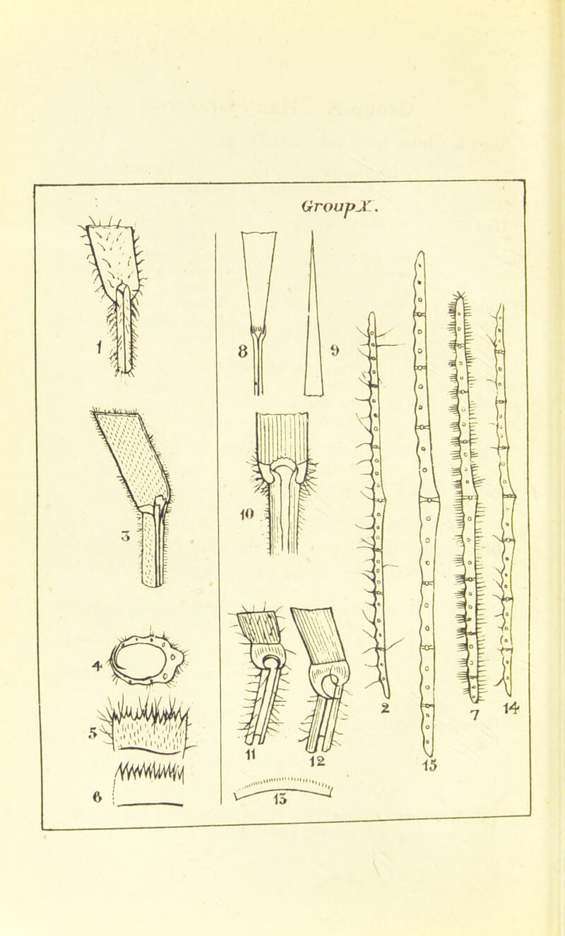 GroupJl. 6