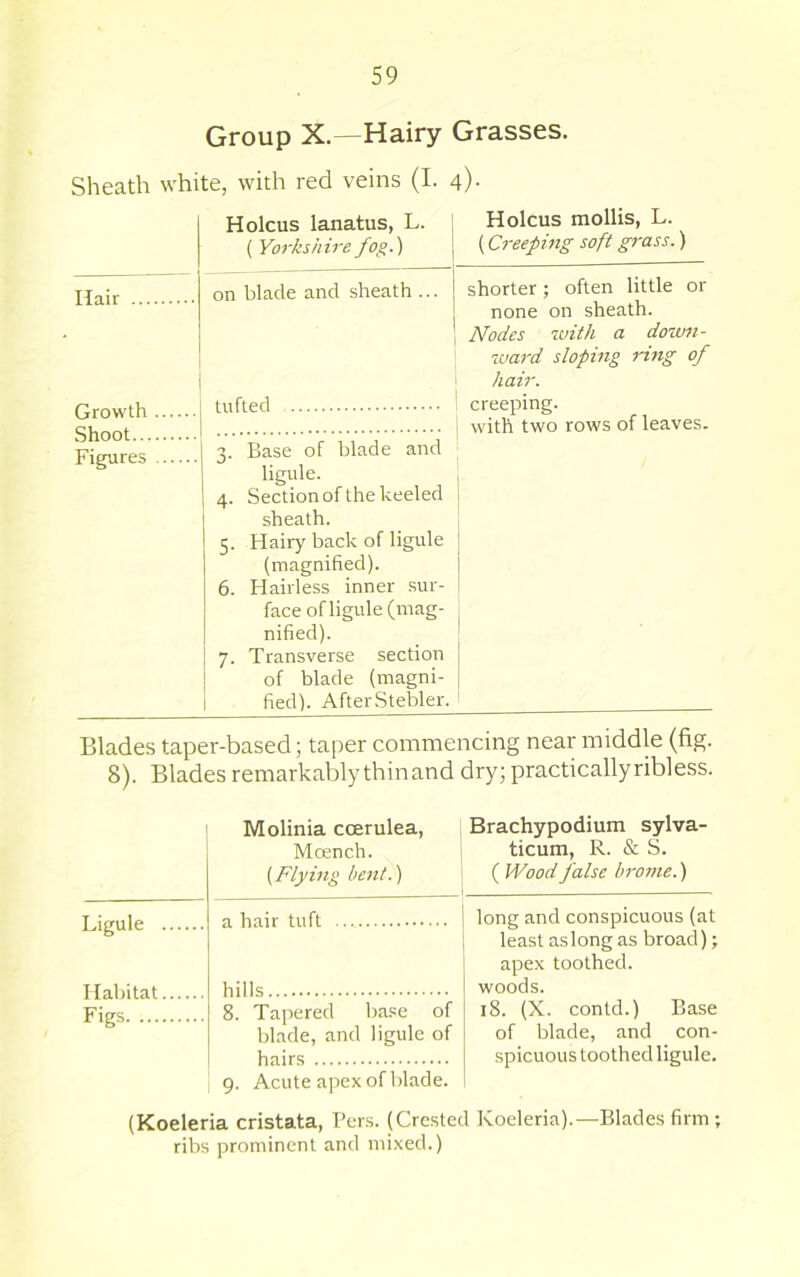 Group X.—Hairy Grasses. Sheath white, with red veins (I. 4). Holcus lanatus, L. ( Yorkshire fog.) Holcus mollis, L. (Creeping soft grass.) Hair on blade and sheath ... shorter; often little or none on sheath. Nodes with a down- ward sloping rmg of hair. tufted creeping. Shoot Figures 3. Base of blade and ligule. 4. Section of the keeled sheath. 5. Flairy back of ligule (magnified). 6. Hairless inner .sur- face of ligule (mag- nified). 7. Transverse section of blade (magni- fied). AfterStebler. with two rows of leaves. j Blades taper-based; taper commencing near middle (fig. 8). Blades remarkably thinand dry; practically ribless. Molinia ccerulea, Mcench. {Flying bent.) Brachypodium sylva- ticum, R. & S. ( Wood false brome.) Ligule a hair tuft long and conspicuous (at least aslong as broad); apex toothed. Habitat hills woods. Figs 8. Tapered base of blade, and ligule of hairs 9. Acute apex of blade. 18. (X. contd.) Base of blade, and con- spicuous toothed ligule. (Koeleria cristata, Pers. (Crested Koeleria).—Blades firm; ribs prominent and mixed.)