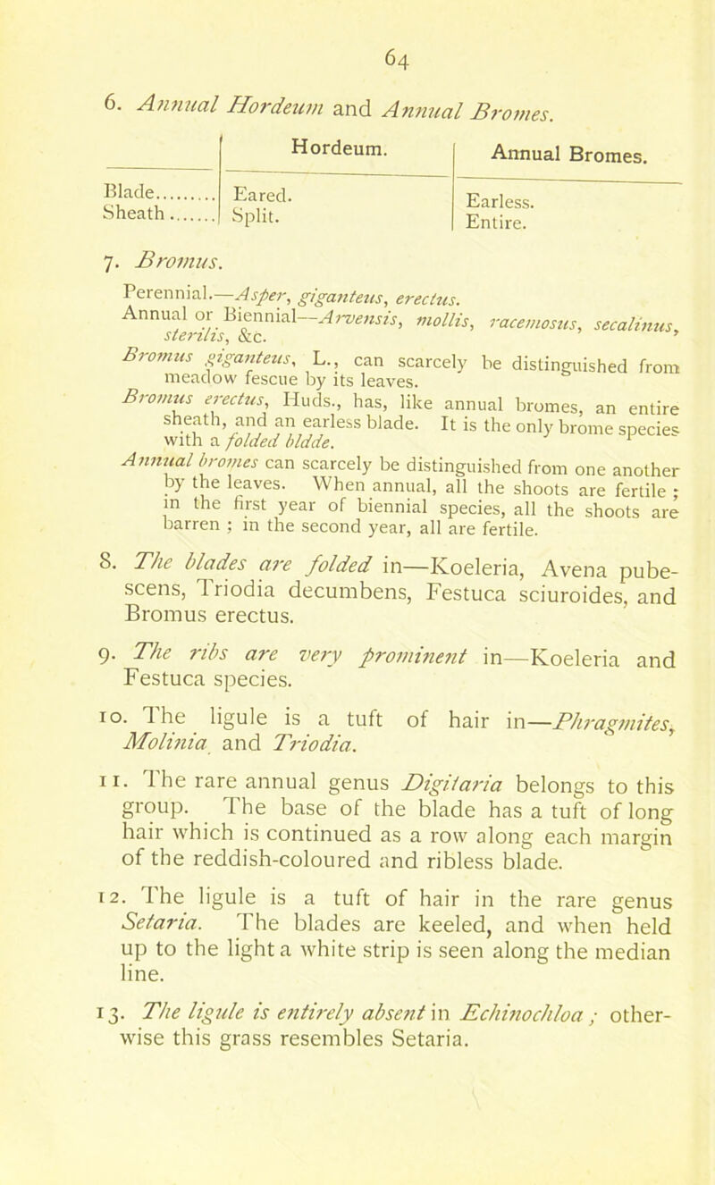 6. A}mnal Hordeicm and Annual Bromes. Hordeum. Annual Bromes. Blade Eared. Split. Earless. Entire. Sheath 7. Broinus. racemosus, secalmus. Perennial.—giganteus, erecius. Annual or Biennial—Ai~vetisis, mollis, sterilis, &c. ’ Bromits ,^iganteus, L., can scarcely he distinguished from meadow fescue by its leaves. Bronms erectus, Huds., has, like annual bromes, an entire sheath, and an earless blade. It is the only brome species with a folded hldde. ' Annual bromes can scarcely be distinguished from one another by the leaves. When annual, all the shoots are fertile ; in the first year of biennial species, all the shoots are barren ; in the second year, all are fertile. 8. The blades are folded in—Koeleria, Avena pube- scens, driodia decumbens, Festuca sciuroides, and Bromus erectus. 9. The ribs are very promirmit in—Koeleria and Festuca species. 10. The ligule is a tuft of hair in—PJwagmiteSy Molmia and Triodia. 11. The rare annual genus Digiiaria belongs to this group. The base of the blade has a tuft of long hair which is continued as a row along each margin of the reddish-coloured and ribless blade. 12. The ligule is a tuft of hair in the rare genus Setaria. The blades are keeled, and when held up to the light a white strip is seen along the median line. 13. The ligule is e7ith-ely absefitm Echmochloa ; other- wise this grass resembles Setaria.