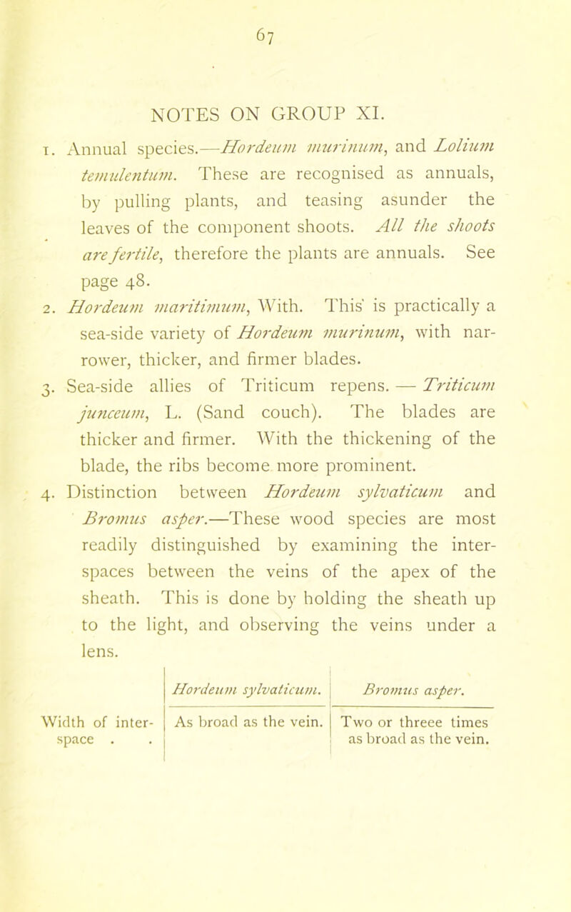 6y NOTES ON GROUP XL T. Annual species.—Hordeum murinum, and Lolium temulentum. These are recognised as annuals, by pulling plants, and teasing asunder the leaves of the component shoots. All the shoots arefeidile, therefore the plants are annuals. See page 48. 2. Hoi'deum maf-ithnum, With. This' is practically a sea-side variety of Hordeum murinum, with nar- rower, thicker, and firmer blades. 3. Sea-side allies of Triticum repens. — Triticum jmiceum, L. (Sand couch). The blades are thicker and firmer. With the thickening of the blade, the ribs become more prominent. 4. Distinction between Hordeum sylvaticum and Bromus asper.—These wood species are most readily distinguished by examining the inter- spaces between the veins of the apex of the sheath. This is done by holding the sheath up to the light, and observing the veins under a lens. Hordeum sylvaticum. Bromus asper. Width of inter- As broad as the vein. Two or threee times Space . as broad as the vein.