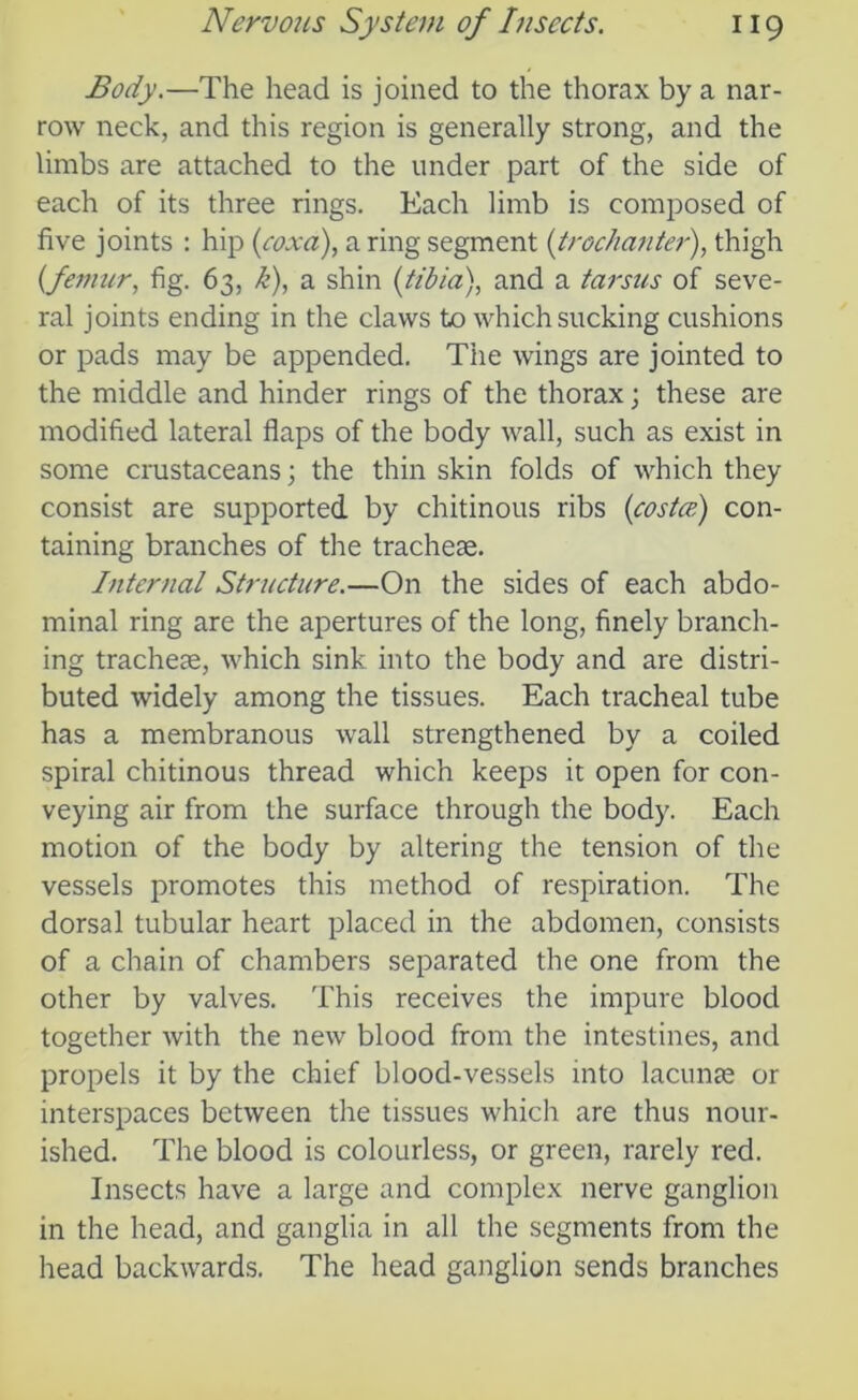 Body.—The head is joined to the thorax by a nar- row neck, and this region is generally strong, and the limbs are attached to the under part of the side of each of its three rings. Each limb is composed of five joints : hip (coxa), a ring segment (trochanter), thigh (femur, fig. 63, k), a shin (tibia), and a tarsus of seve- ral joints ending in the claws to which sucking cushions or pads may be appended. The wings are jointed to the middle and hinder rings of the thorax; these are modified lateral flaps of the body wall, such as exist in some crustaceans; the thin skin folds of which they consist are supported by chitinous ribs (costce) con- taining branches of the tracheae. Internal Structure.—On the sides of each abdo- minal ring are the apertures of the long, finely branch- ing tracheae, which sink into the body and are distri- buted widely among the tissues. Each tracheal tube has a membranous wall strengthened by a coiled spiral chitinous thread which keeps it open for con- veying air from the surface through the body. Each motion of the body by altering the tension of the vessels promotes this method of respiration. The dorsal tubular heart placed in the abdomen, consists of a chain of chambers separated the one from the other by valves. This receives the impure blood together with the new blood from the intestines, and propels it by the chief blood-vessels into lacunas or interspaces between the tissues which are thus nour- ished. The blood is colourless, or green, rarely red. Insects have a large and complex nerve ganglion in the head, and ganglia in all the segments from the head backwards. The head ganglion sends branches