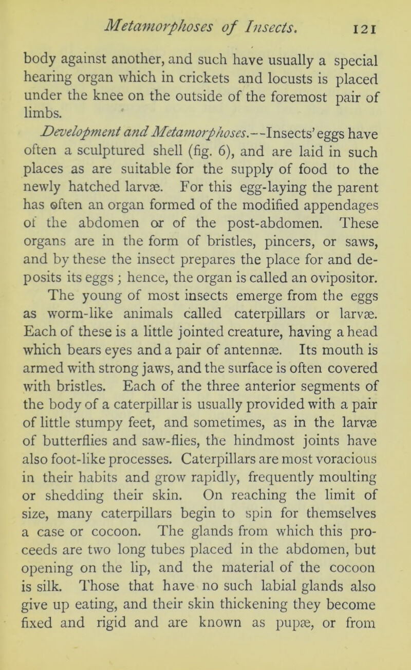 body against another, and such have usually a special hearing organ which in crickets and locusts is placed under the knee on the outside of the foremost pair of limbs. Development and Metamorphoses.—Insects’ eggs have often a sculptured shell (fig. 6), and are laid in such places as are suitable for the supply of food to the newly hatched larvae. For this egg-laying the parent has often an organ formed of the modified appendages of the abdomen or of the post-abdomen. These organs are in the form of bristles, pincers, or saws, and by these the insect prepares the place for and de- posits its eggs ; hence, the organ is called an ovipositor. The young of most insects emerge from the eggs as worm-like animals called caterpillars or larvae. Each of these is a little jointed creature, having ahead which bears eyes and a pair of antennae. Its mouth is armed with strong jaws, and the surface is often covered with bristles. Each of the three anterior segments of the body of a caterpillar is usually provided with a pair of little stumpy feet, and sometimes, as in the larvae of butterflies and saw-flies, the hindmost joints have also foot-like processes. Caterpillars are most voracious in their habits and grow rapidly, frequently moulting or shedding their skin. On reaching the limit of size, many caterpillars begin to spin for themselves a case or cocoon. The glands from which this pro- ceeds are two long tubes placed in the abdomen, but opening on the lip, and the material of the cocoon is silk. Those that have no such labial glands also give up eating, and their skin thickening they become fixed and rigid and are known as pupae, or from