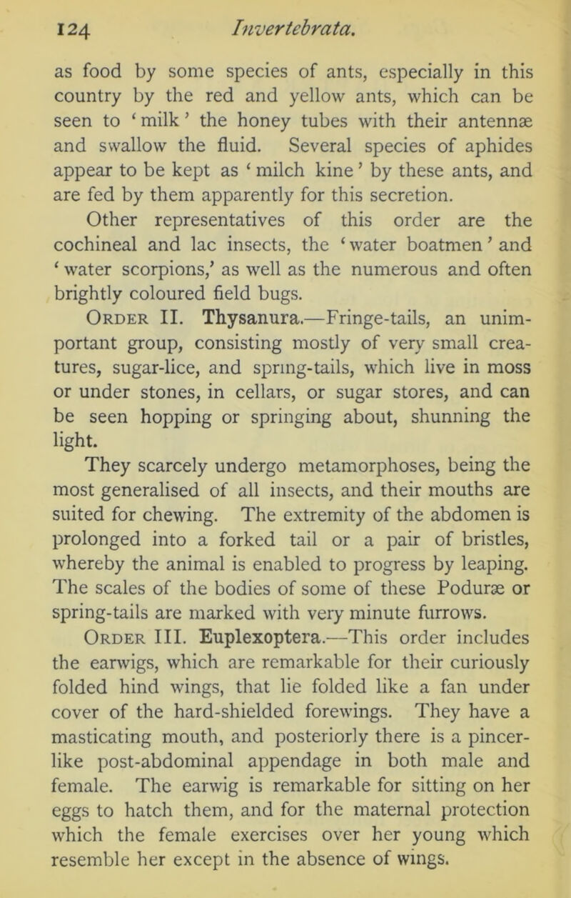 as food by some species of ants, especially in this country by the red and yellow ants, which can be seen to ‘ milk ’ the honey tubes with their antennae and swallow the fluid. Several species of aphides appear to be kept as ‘ milch kine ’ by these ants, and are fed by them apparently for this secretion. Other representatives of this order are the cochineal and lac insects, the ‘ water boatmen ’ and ‘ water scorpions/ as well as the numerous and often brightly coloured field bugs. Order II. Thysanura.—Fringe-tails, an unim- portant group, consisting mostly of very small crea- tures, sugar-lice, and spring-tails, which live in moss or under stones, in cellars, or sugar stores, and can be seen hopping or springing about, shunning the light. They scarcely undergo metamorphoses, being the most generalised of all insects, and their mouths are suited for chewing. The extremity of the abdomen is prolonged into a forked tail or a pair of bristles, whereby the animal is enabled to progress by leaping. The scales of the bodies of some of these Podurse or spring-tails are marked with very minute furrows. Order III. Euplexoptera.—This order includes the earwigs, which are remarkable for their curiously folded hind wings, that lie folded like a fan under cover of the hard-shielded forewings. They have a masticating mouth, and posteriorly there is a pincer- like post-abdominal appendage in both male and female. The earwig is remarkable for sitting on her eggs to hatch them, and for the maternal protection which the female exercises over her young which resemble her except in the absence of wings.