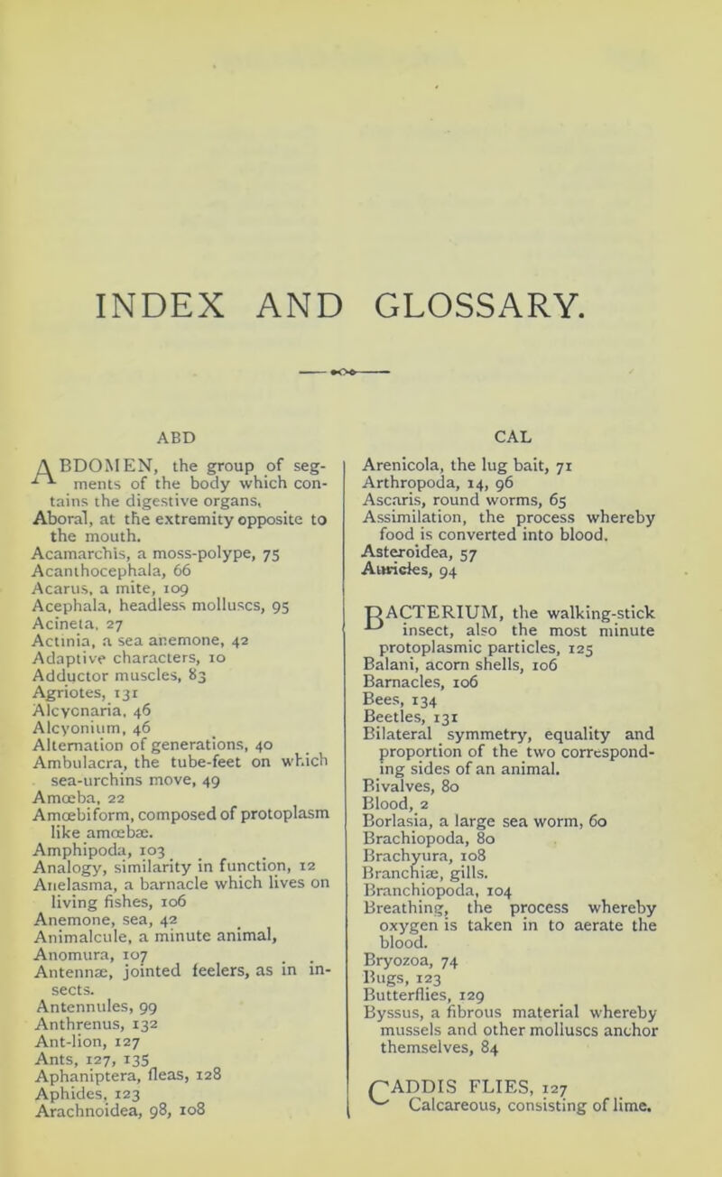 INDEX AND GLOSSARY. ABD CAL A BDOMEN, the group of seg- ments of the body which con- tains the digestive organs, Aboral, at the extremity opposite to the mouth. Acamarchis, a moss-polype, 75 Acanthocephala, 66 Acarus, a mite, 109 Acephala, headless molluscs, 95 Acineta, 27 Actinia, a sea anemone, 42 Adaptive characters, 10 Adductor muscles, 83 Agriotes, 131 Alcycnaria, 46 Alcyonium, 46 Alternation of generations, 40 Ambulacra, the tube-feet on which sea-urchins move, 49 Amoeba, 22 Amoebiform, composed of protoplasm like amoebae. Amphipoda, 103 Analogy, similarity in function, 12 Atielasma, a barnacle which lives on living fishes, 106 Anemone, sea, 42 Animalcule, a minute animal, Anomura, 107 Antennae, jointed feelers, as in in- sects. Antennules, 99 Anthrenus, 132 Ant-lion, 127 Ants, 127, 135 Aphaniptera, fleas, 128 Aphides, 123 Arachnoidea, 98, 108 Arenicola, the lug bait, 71 Arthropoda, 14, 96 Ascaris, round worms, 65 Assimilation, the process whereby food is converted into blood. Asteroidea, 57 Auricles, 94 T>ACTERIUM, the walking-stick -L> insect, also the most minute protoplasmic particles, 125 Balani, acorn shells, 106 Barnacles, 106 Bees, 134 Beetles, 131 Bilateral symmetry, equality and proportion of the two correspond- ing sides of an animal. Bivalves, 80 Blood, 2 Borlasia, a large sea worm, 60 Brachiopoda, 80 Brachyura, 108 Branchiae, gills. Branchiopoda, 104 Breathing, the process whereby oxygen is taken in to aerate the blood. Bryozoa, 74 Bugs, 123 Butterflies, 129 Byssus, a fibrous material whereby mussels and other molluscs anchor themselves, 84 p ADDIS FLIES, 127 Calcareous, consisting of lime.