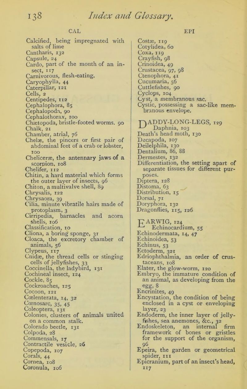 CAL Calcified, being impregnated with salts of lime Cantharis, 132 Capsule, 24 Cardo, part of the mouth of an in- sect, 117 Carnivorous, flesh-eating. Caryophylla, 44 Caterpillar, 121 Cells, 2 Centipedes, 112 Cephalophora, 85 Cephalopoda, 90 Cephalothorax, 100 Chaetopoda, bristle-footed worms. 90 Chalk, 21 Chamber, atrial, 76 Chela, the pincers or first pair of abdominal feet of a crab or lobster, 100 Chelicera, the antennary jaws of a scorpion, 108 Chelifer, 112 Chitin, a hard material which forms the outer layer of insects, 96 Chiton, a multivalve shell, 89 Chrysalis, 122 Chrysaora, 39 Cilia, minute vibratile hairs made of protoplasm, 3 Cirripedia, barnacles and acorn shells, 106 Classification, 10 Cliona, a boring sponge, 31 Cloaca, the excretory chamber of animals, 56 Clypeus, 117 Cnidse, the thread cells or stinging cells of jellyfishes, 33 Coccinella, the ladybird, 131 Cochineal insect, 124 Cockle, 83 Cockroaches, 125 Cocoon, 121 Coelenterata, 14, 32 Coenosarc, 35, 45 Coleoptera, 131 Colonies, clusters of animals united on a common stalk. Colorado beetle, 131 Colpoda, 28 Commensals, 17 Contractile vesicle, 26 Copepoda, 107 Corals, 44 Cornea, 108 Coronula, 106 EPI Cost®, 119 Cotylidea, 60 Coxa, 119 Crayfish, 98 Crinoidea, 49 Crustacea, 97, 98 Ctenophora, 41 Cucumaria, 56 Cuttlefishes, 90 Cyclops, 104 Cyst, a membranous sac. Cystic, possessing a sac-like mem- branous envelope. TA ADDY-LONG-LEGS, 129 Daphnia, 103 Death’s head moth, 130 Decapoda, 107 Deilelphila, 130 Dentalium, 86, 88 j Dermestes, 132 Differentiation, the setting apart of separate tissues for different pur- poses. Diptera, 128 Distoma, 63 Distribution, 15 Dorsal, 71 Doryphora, 132 Dragonflies, 115, 126 pARWIG, 124 •*—' Echinocardium, 55 Echinodermata, 14, 47 Echinoidea, 53 Echinus, 53 Ectoderm, 321 Edriophthalmia, an order of crus- taceans, 108 Elater, the glow-worm, 120 Embryo, the immature condition of an animal, as developing from the Encrinites, 49 Encystation, the condition of being enclosed in a cyst or enveloping layer, 23 Endoderm, the inner layer of jelly- fishes, sea anemones, &c., 32 Endoskeleton, an internal firm framework of bones or gristles for the support of the organism, 96 Epeira, the garden or geometrical spider, ill Epicranium, part of an insect’s head, 117