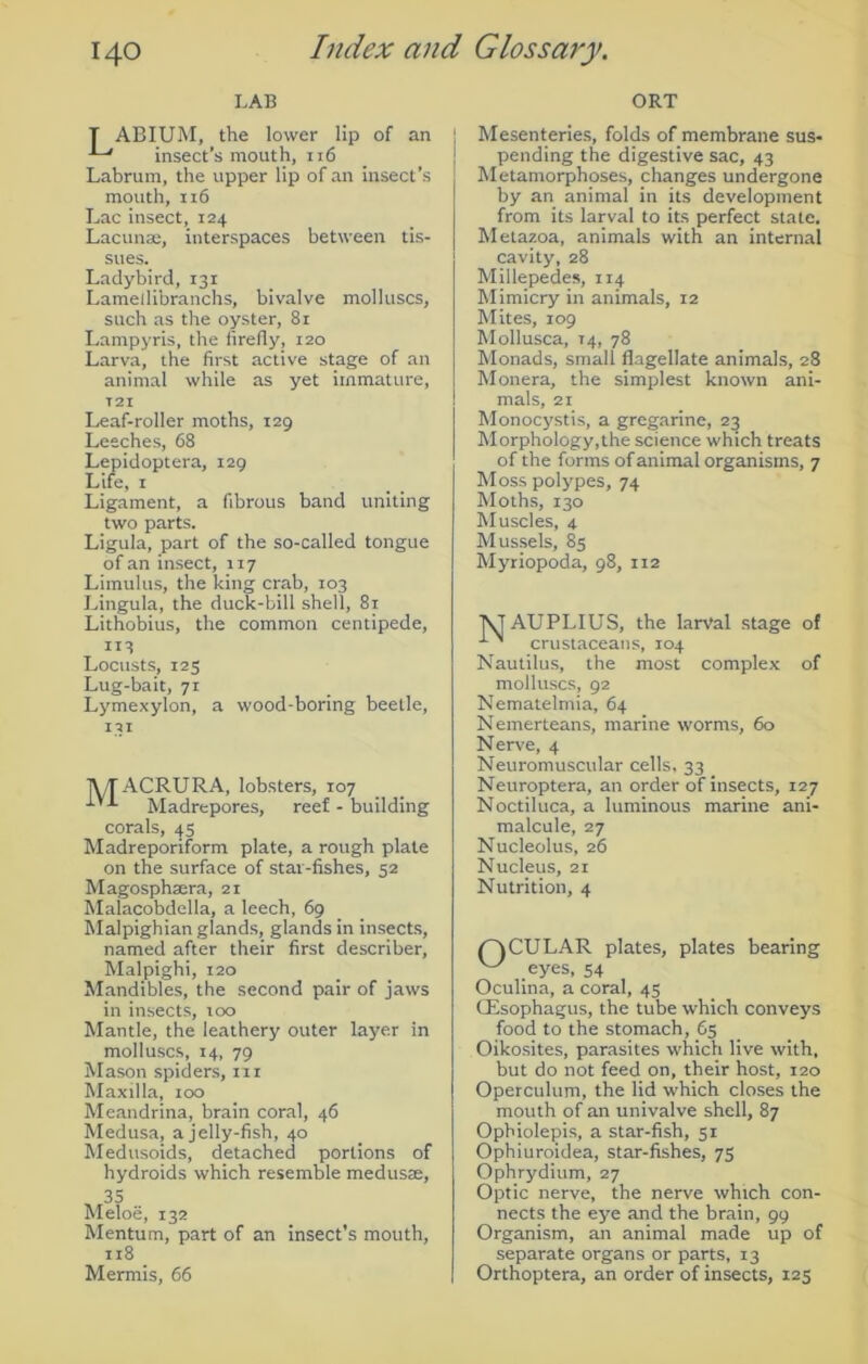 LAB ORT T ABIUM, the lower lip of an insect’s mouth, 116 Labrum, the upper lip of an insect’s mouth, 116 Lac insect, 124 Lacunae, interspaces between tis- sues. Ladybird, 131 Lameilibranchs, bivalve molluscs, such as the oyster, 81 Lampyris, the firefly, 120 Larva, the first active stage of an animal while as yet immature, T 21 Leaf-roller moths, 129 Leeches, 68 Lepidoptera, 129 Life, 1 Ligament, a fibrous band uniting two parts. Ligula, part of the so-called tongue of an insect, 117 Limulus, the king crab, 103 Lingula, the duck-bill shell, 81 Lithobius, the common centipede, 113 Locusts, 125 Lug-bait, 71 Lymexylon, a wood-boring beetle. TV/T ACRURA, lobsters, 107 Madrepores, reef - building corals, 45 Madreporiform plate, a rough plate on the surface of star-fishes, 52 Magosphicra, 21 Malacobdella, a leech, 69 Malpighian glands, glands in insects, named after their first describer, Malpighi, 120 Mandibles, the second pair of jaws in insects, 100 Mantle, the leathery outer layer in molluscs, 14, 79 Mason spiders, in Maxilla, 100 Meandrina, brain coral, 46 Medusa, a jelly-fish, 40 Medusoids, detached portions of hydroids which resemble medusas, 35 Meloe, 132 Mentum, part of an insect's mouth, 118 Mermis, 66 Mesenteries, folds of membrane sus- pending the digestive sac, 43 Metamorphoses, changes undergone by an animal in its development from its larval to its perfect state. Metazoa, animals with an internal cavity, 28 Millepedes, 114 Mimicry in animals, 12 Mites, 109 Mollusca, 14, 78 Monads, small flagellate animals, 28 Monera, the simplest known ani- mals, 21 Monocystis, a gregarine, 23 Morphology,the science which treats of the forms of animal organisms, 7 Moss polypes, 74 Moths, 130 Muscles, 4 Mussels, 85 Myriopoda, 98, 112 NT AUPLIUS, the larval stage of ’ crustaceans, 104 Nautilus, the most complex of molluscs, 92 Nematelmia, 64 Nemerteans, marine worms, 60 Nerve, 4 Neuromuscular cells, 33 Neuroptera, an order of insects, 127 Noctiluca, a luminous marine ani- malcule, 27 Nucleolus, 26 Nucleus, 21 Nutrition, 4 LACULAR plates, plates bearing v-y eyes, 54 Oculina, a coral, 45 (Esophagus, the tube which conveys food to the stomach, 65 Oikosites, parasites which live with, but do not feed on, their host, 120 Operculum, the lid which closes the mouth of an univalve shell, 87 Opbiolepis, a star-fish, 51 Ophiuroidea, star-fishes, 75 Ophrydium, 27 Optic nerve, the nerve which con- nects the eye and the brain, 99 Organism, an animal made up of separate organs or parts, 13 Orthoptera, an order of insects, 125