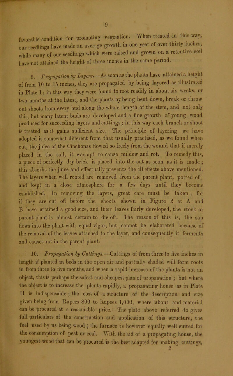 favorable condition for promoting vegetation. When treated in this way, our seedlings have made an average growth in one year of over thirty inches, while many of our seedlings which were raised and grown on a retentive soil have not attained the height of three inches in the same period. 9. Propagation iy Layers^—As soon as the plants have attained a height of from 10 to 15 inches, they are propagated by being layered as illustrated in Plate I; in this way they were found to root readily in about six weeks, or two months at the latest, and the plants by being bent down, break or throw out shoots from every bud along the whole length of the stem, and not only this, but many latent buds are developed and a fine growth of young wood produced for succeeding layers and cuttings; in this way each branch or shoot is treated as it gains sufficient size. The principle of layering we have adopted is somewhat different from that usually practised, as w'e found when cut, the juice of the Cinchonas flowed so freely from the wound that if merely placed in the soil, it was apt to cause mildew and rot. To remedy this, a piece of perfectly dry brick is placed into the cut as soon as it is made ; this absorbs the juice and effectually prevents the ill effects above mentioned. The layers when well rooted are removed from the parent plant, potted off, and kept in a close atmosphere for a few days until they become established. In removing the layers, great care must be taken; for if they are cut off before the shoots shown in Figure 2 at A and B have attained a good size, and their leaves fairly developed, the stock or parent plant is almost certain to die off. The reason of this is, the sap flows into the plant with equal vigor, but. cannot be elaborated because of the removal of the leaves attached to the layer, and consequently it ferments and causes rot in the parent plant. 10. Propagation hy Cuttings.—Cuttings of from three to five inches in length if planted in beds in the open air and partially shaded will form roots in from three to five months, and when a rapid increase of the plants is not an object, this is perhaps the safest and cheapest plan of propagation ; but w’here the object is to increase the plants rapidly, a propagating house as in Plate II is indispensable j the cost of a structure of the description and size given being from Eupees 800 to Rupees 1,000, where labour and material can be procured at a reasonable price. The plate above referred to gives full particulars of the construction and application of this structure, the fuel used by us being wood ; the furnace is however equally well suited for the consumption of peat or coal. With the aid of a propagating house, the youngest wood that can be procured is the best adapted for making cuttings,