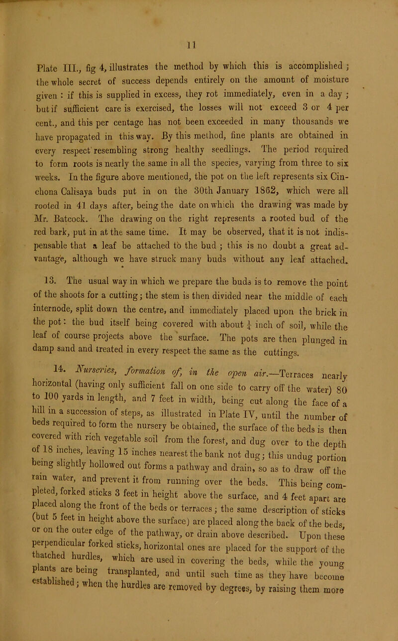 n Plate III., fig 4, illustrates the method by which this is accomplished ; the whole secret of success depends entirely on the amount of moisture given : if this is supplied in excess, they rot immediately, even in a day ; but if sufficient care is exercised, the losses will not exceed 3 or 4 per cent., and this per ceutage has not been exceeded in many thousands we have propagated in this way. By this method, fine plants are obtained in every respect'resembling strong healthy seedlings. The period required to form roots is nearly the same in all the species, varying from three to six weeks. In the figure above mentioned, the pot on the left represents six Cin- chona Calisaya buds put in on the 30th January 1862, which were all rooted in 41 days after, being the date on which the drawing was made by Mr. Batcock. The drawing on the right represents a rooted bud of the red bark, put in at the same time. It may be observed, that it is not indis- pensable that a leaf be attached to the bud ; this is no doubt a great ad- vantage, although we have struck many buds without any leaf attached, A 13. The usual way in which we prepare the buds is to remove the point of the shoots for a cutting; the stem is then divided near the middle of each internode, split down the centre, and immediately placed upon the brick in the pot: the bud itself being covered with about ^ inch of soil, wliile the leaf of course projects above the surface. The pots are then plunged in damp sand and treated in every respect the same as the cuttings. 14. Nurseries, formation of, in the open «er.—Terraces nearly horizontal (having only sufficient fall on one side to carry off the water) 80 to 100 yards m length, and 7 feet in width, being cut along the face of a hill in a succession of steps, as illustrated in Plate IV, until the number of beds required to form the nursery be obtained, the surface of the beds is then covered with rich vegetable soil from the forest, and dug over to the depth of 18 inches leaving 15 inches nearest the bank not dug; this undug portion eing slightly hollowed out forms a pathway and drain, so as to draw off the ram water, and prevent it from running over the beds. This beino- com- pleted forked sticks 3 feet in height above the surface, and 4 feet aptrt are placed along the front of the beds or terraces ; the same description of sticks (but 5 feet in height above the surface) are placed along the back of the beds or on the outer edge of the pathway, or drain above described. Upon these perpendiciffar forked sticks, horizontal ones are placed for the support of the ate ed hurdles, which are used in covering the beds, while the young plants are being transplanted, and until such time as they have become e , when the hurdles are removed by degrees, by raising them more