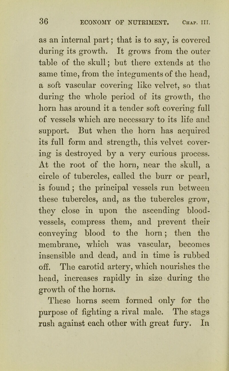 as an internal part; that is to say, is covered during its growth. It grows from the outer table of the skull; but there extends at the same time, from the integuments of the head, a soft vascular covering like velvet, so that during the whole period of its growth, the horn has around it a tender soft covering: full of vessels which are necessary to its life and support. But when the horn has acquired its full form and strength, this velvet cover- ing is destroyed by a very curious process. At the root of the horn, near the skull, a circle of tubercles, called the burr or pearl, is found; the principal vessels run between these tubercles, and, as the tubercles grow, they close in upon the ascending blood- vessels, compress them, and prevent their conveying blood to the horn; then the membrane, which was vascular, becomes insensible and dead, and in time is rubbed off. The carotid artery, which nourishes the head, increases rapidly in size during the growth of the horns. These horns seem formed only for the purpose of fighting a rival male. The stags rush against each other with great fury. In