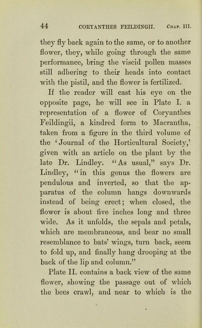 they fly back again to the same, or to another flower, they, while going through the same performance, bring the viscid pollen masses still adhering to their heads into contact with the pistil, and the flower is fertilized. If the reader will cast his eye on the opposite page, he will see in Plate I. a representation of a flower of Coryanthes Feildingii, a kindred form to Macrantha, taken from a figure in the third volume of the ‘Journal of the Horticultural Society,’ given with an article on the plant by the late Dr. Lindley. “ As usual,” says Dr. Lindley, “ in this genus the flowers are pendulous and inverted, so that the ap- paratus of the column hangs downwards instead of being erect; when closed, the flower is about five inches long and three wide. As it unfolds, the sepals and petals, which are membraneous, and bear no small resemblance to bats’ wings, turn back, seem to fold up, and finally hang drooping at the back of the lip and column.” Plate II. contains a back view of the same flower, showing the passage out of which the bees crawl, and near to which is the