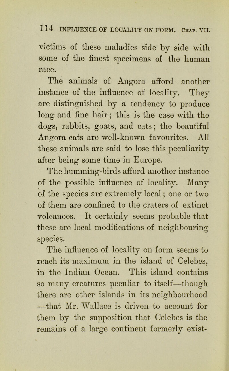 victims of these maladies side by side with some of the finest specimens of the human race. The animals of Angora afford another instance of the influence of locality. They are distinguished by a tendency to produce long and fine hair; this is the case with the dogs, rabbits, goats, and cats; the beautiful Angora cats are well-known favourites. All these animals are said to lose this peculiarity after being some time in Europe. The humming-birds afford another instance of the possible influence of locality. Many of the species are extremely local; one or two of them are confined to the craters of extinct volcanoes. It certainly seems probable that these are local modifications of neighbouring species. The influence of locality on form seems to reach its maximum in the island of Celebes, in the Indian Ocean. This island contains so many creatures peculiar to itself—though there are other islands in its neighbourhood —that Mr. Wallace is driven to account for them by the supposition that Celebes is the remains of a large continent formerly exist-