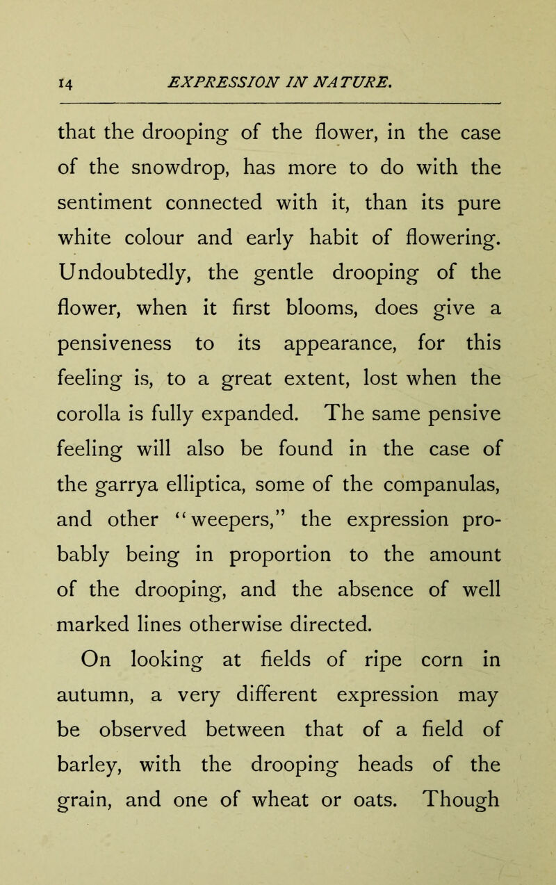 that the drooping of the flower, in the case of the snowdrop, has more to do with the sentiment connected with it, than its pure white colour and early habit of flowering. Undoubtedly, the gentle drooping of the flower, when it first blooms, does give a pensiveness to its appearance, for this feeling is, to a great extent, lost when the corolla is fully expanded. The same pensive feeling will also be found in the case of the garrya elliptica, some of the companulas, and other “weepers,” the expression pro- bably being in proportion to the amount of the drooping, and the absence of well marked lines otherwise directed. On looking at fields of ripe corn in autumn, a very different expression may be observed between that of a field of barley, with the drooping heads of the grain, and one of wheat or oats. Though