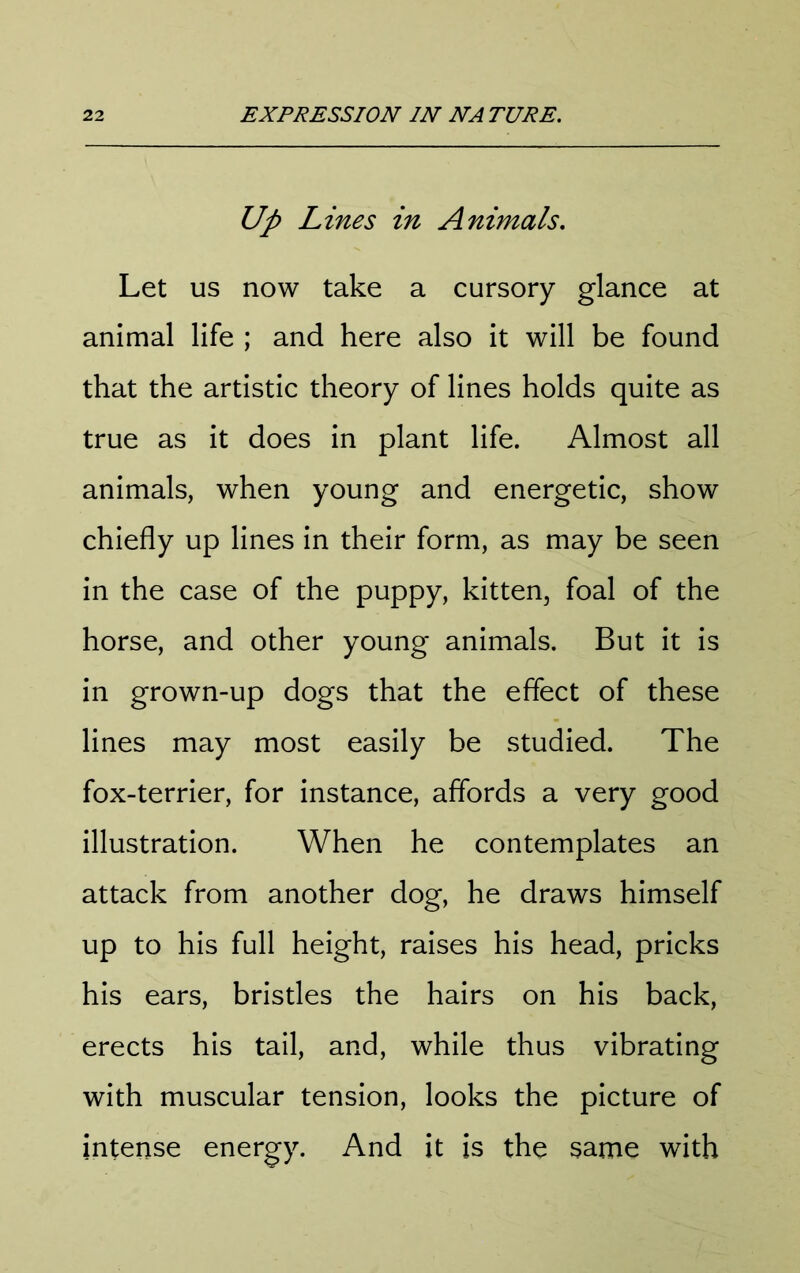 Up Lines in Animals, Let us now take a cursory glance at animal life ; and here also it will be found that the artistic theory of lines holds quite as true as it does in plant life. Almost all animals, when young and energetic, show chiefly up lines in their form, as may be seen in the case of the puppy, kitten^ foal of the horse, and other young animals. But it is in grown-up dogs that the effect of these lines may most easily be studied. The fox-terrier, for instance, affords a very good illustration. When he contemplates an attack from another dog, he draws himself up to his full height, raises his head, pricks his ears, bristles the hairs on his back, erects his tail, and, while thus vibrating with muscular tension, looks the picture of intense energy. And it is the same with