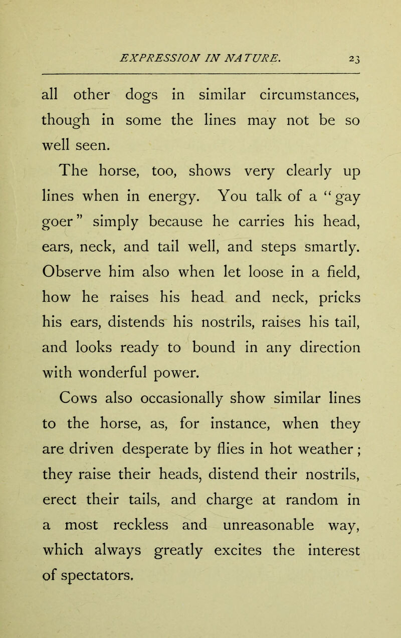 all other dogs in similar circumstances, though in some the lines may not be so well seen. The horse, too, shows very clearly up lines when in energy. You talk of a “gay goer ” simply because he carries his head, ears, neck, and tail well, and steps smartly. Observe him also when let loose in a field, how he raises his head and neck, pricks his ears, distends his nostrils, raises his tail, and looks ready to bound in any direction with wonderful power. Cows also occasionally show similar lines to the horse, as, for instance, when they are driven desperate by flies in hot weather; they raise their heads, distend their nostrils, erect their tails, and charge at random in a most reckless and unreasonable way, which always greatly excites the interest of spectators.