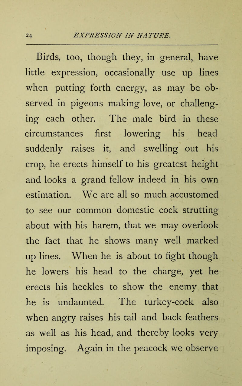 Birds, too, though they, in general, have little expression, occasionally use up lines when putting forth energy, as may be ob- served in pigeons making love, or challeng- ing each other. The male bird in these circumstances first lowering his head suddenly raises it, and swelling out his crop, he erects himself to his greatest height and looks a grand fellow indeed in his own estimation. We are all so much accustomed to see our common domestic cock strutting about with his harem, that we may overlook the fact that he shows many well marked up lines. When he is about to fight though he lowers his head to the charge, yet he erects his heckles to show the enemy that he is undaunted. The turkey-cock also when angry raises his tail and back feathers as well as his head, and thereby looks very imposing. Again in the peacock we observe