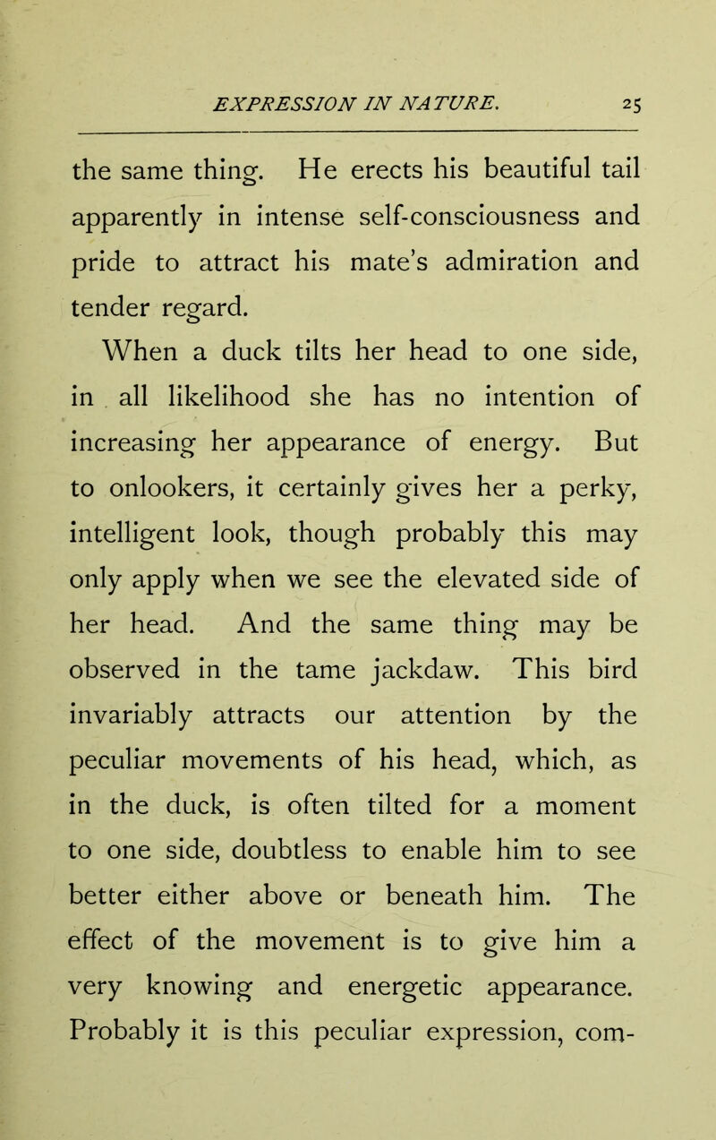 the same thino-. He erects his beautiful tail o apparently in intense self-consciousness and pride to attract his mate’s admiration and tender regard. When a duck tilts her head to one side, in all likelihood she has no intention of increasing her appearance of energy. But to onlookers, it certainly gives her a perky, intelligent look, though probably this may only apply when we see the elevated side of her head. And the same thing may be observed in the tame jackdaw. This bird invariably attracts our attention by the peculiar movements of his head, which, as in the duck, is often tilted for a moment to one side, doubtless to enable him to see better either above or beneath him. The effect of the movement is to give him a very knowing and energetic appearance. Probably it is this peculiar expression, com-