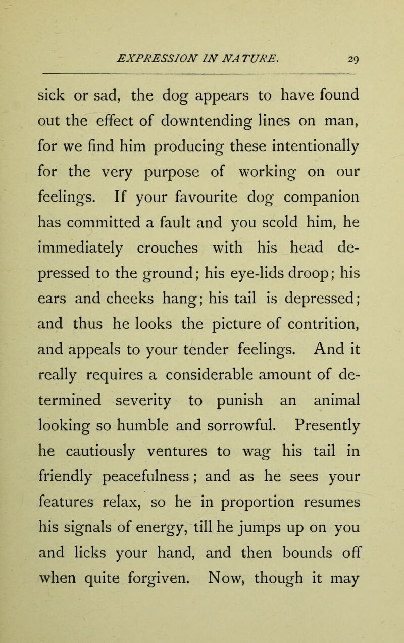 sick or sad, the dog appears to have found out the effect of downtending lines on man, for we find him producing these intentionally for the very purpose of working on our feelings. If your favourite dog companion has committed a fault and you scold him, he immediately crouches with his head de- pressed to the ground; his eye-lids droop; his ears and cheeks hang; his tail is depressed; and thus he looks the picture of contrition, and appeals to your tender feelings. And it really requires a considerable amount of de- termined severity to punish an animal looking so humble and sorrowful. Presently he cautiously ventures to wag his tail in friendly peacefulness; and as he sees your features relax, so he in proportion resumes his signals of energy, till he jumps up on you and licks your hand, and then bounds off when quite forgiven. Now, though it may