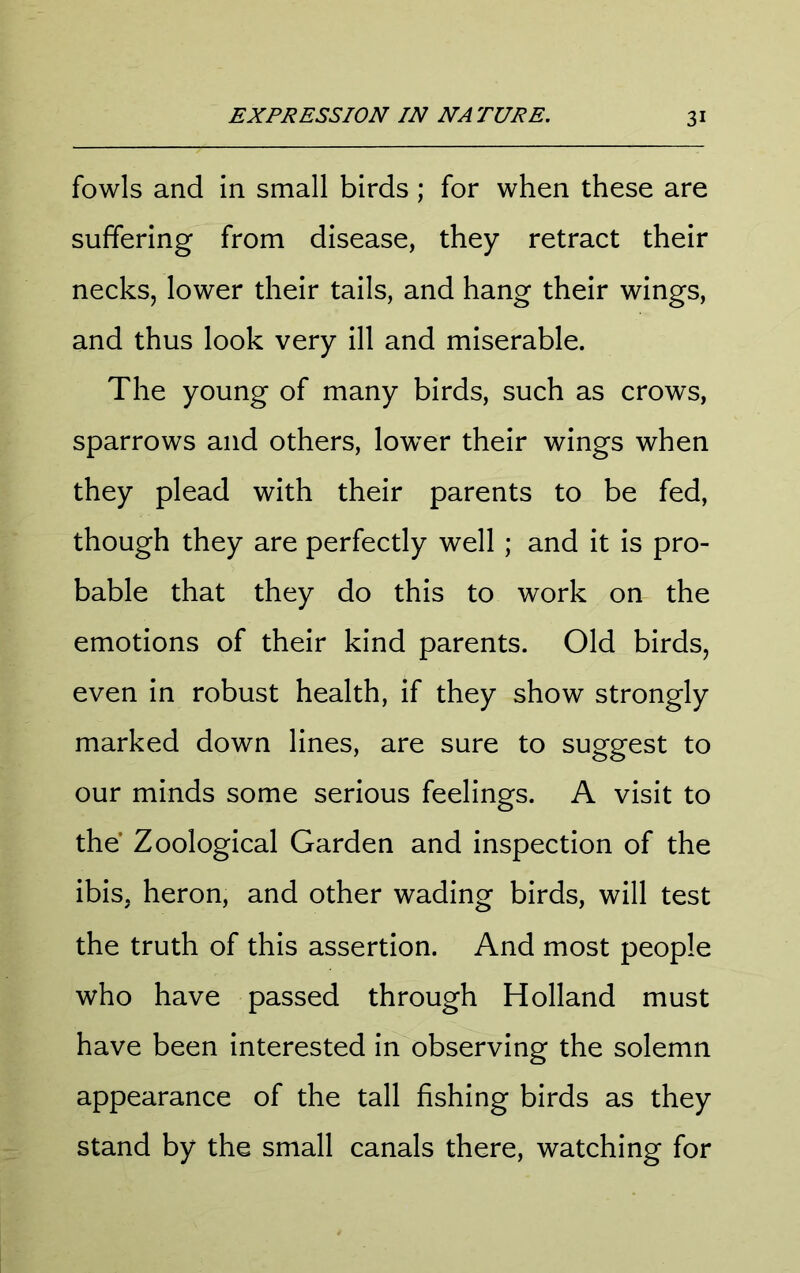 fowls and in small birds; for when these are suffering from disease, they retract their necks, lower their tails, and hang their wings, and thus look very ill and miserable. The young of many birds, such as crows, sparrows and others, lower their wings when they plead with their parents to be fed, though they are perfectly well ; and it is pro- bable that they do this to work on the emotions of their kind parents. Old birds, even in robust health, if they show strongly marked down lines, are sure to suggest to our minds some serious feelings. A visit to the* Zoological Garden and inspection of the ibis, heron, and other wading birds, will test the truth of this assertion. And most people who have passed through Holland must have been interested in observing the solemn appearance of the tall fishing birds as they stand by the small canals there, watching for