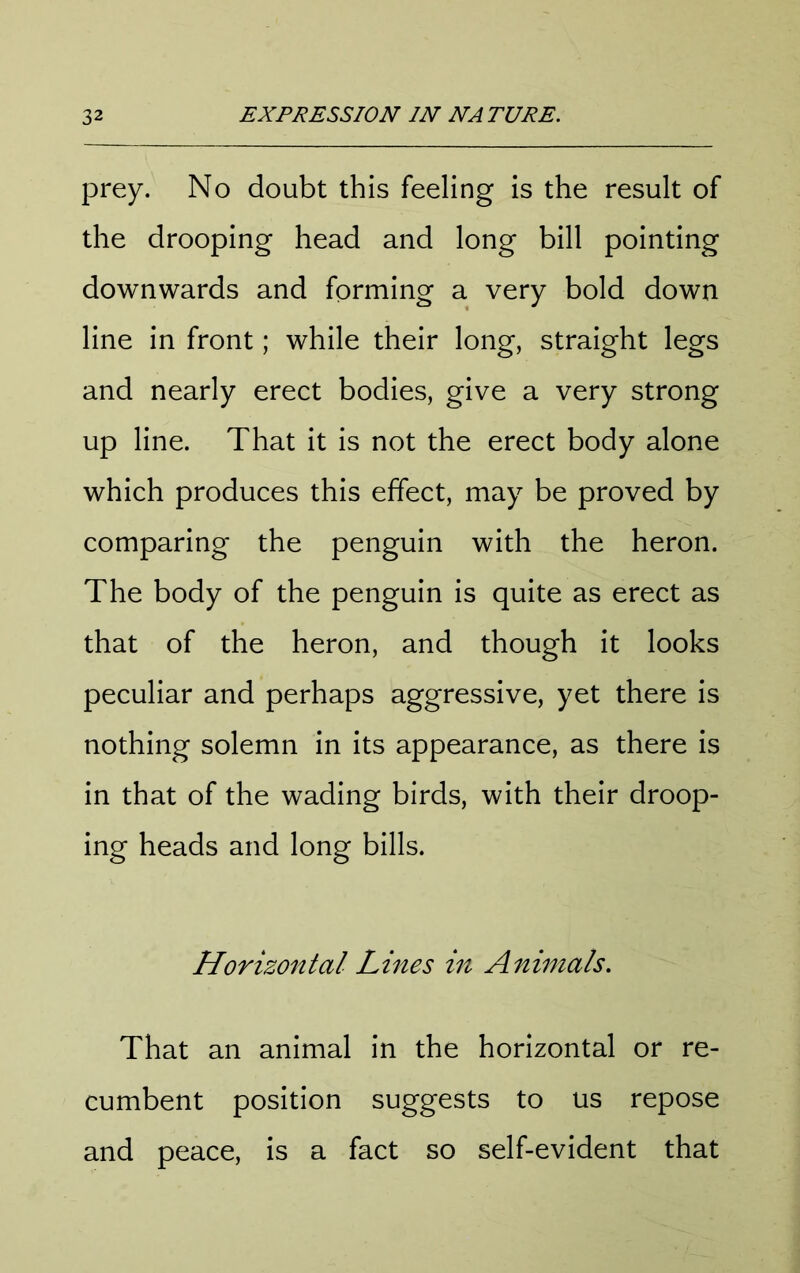 prey. No doubt this feeling is the result of the drooping head and long bill pointing downwards and forming a very bold down line in front; while their long, straight legs and nearly erect bodies, give a very strong up line. That it is not the erect body alone which produces this effect, may be proved by comparing the penguin with the heron. The body of the penguin is quite as erect as that of the heron, and though it looks peculiar and perhaps aggressive, yet there is nothing solemn in its appearance, as there is in that of the wading birds, with their droop- ing heads and long bills. Horizontal Lines in Animals. That an animal in the horizontal or re- cumbent position suggests to us repose and peace, is a fact so self-evident that