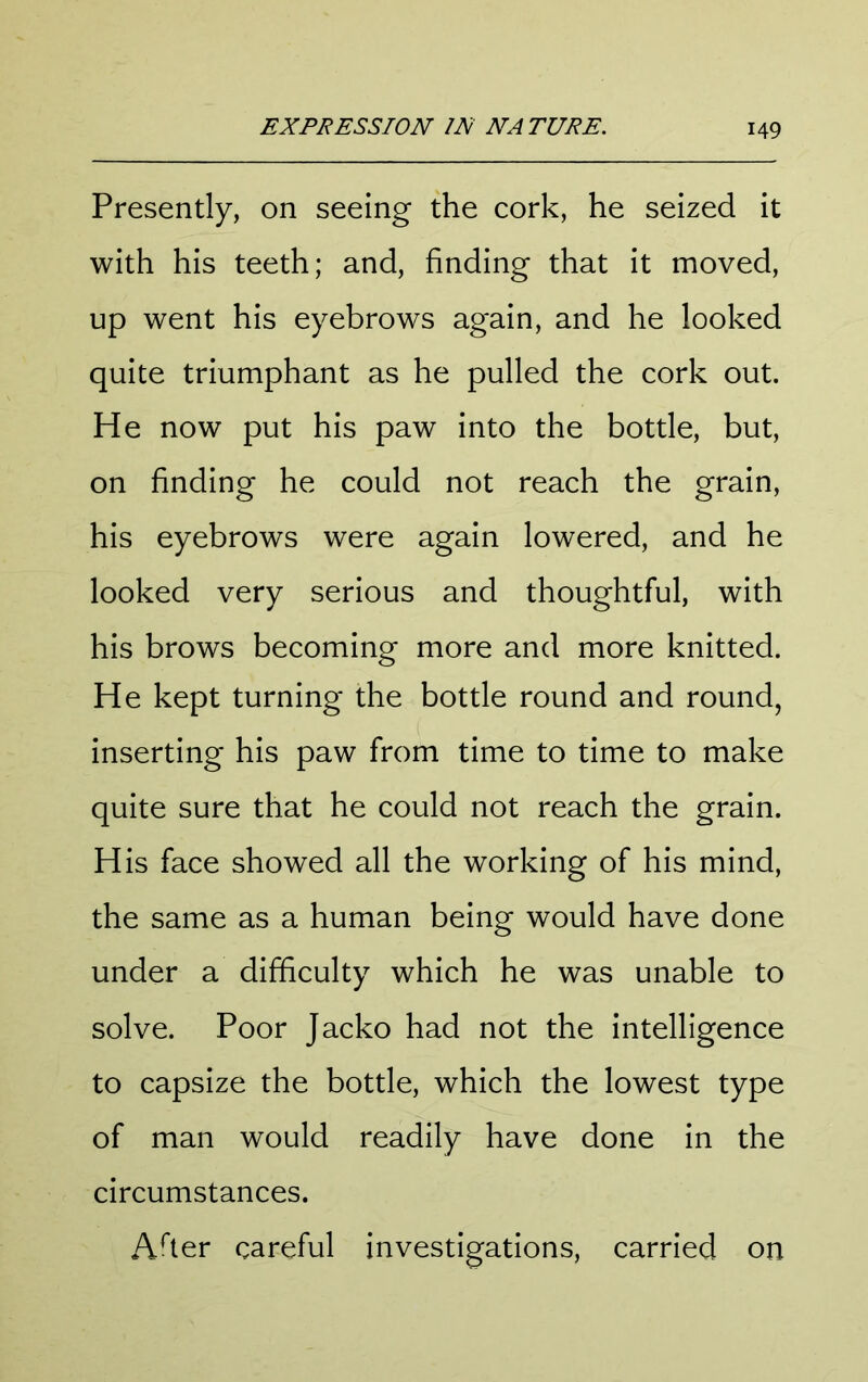 Presently, on seeing the cork, he seized it with his teeth; and, finding that it moved, up went his eyebrows again, and he looked quite triumphant as he pulled the cork out. He now put his paw into the bottle, but, on finding he could not reach the grain, his eyebrows were again lowered, and he looked very serious and thoughtful, with his brows becoming more and more knitted. He kept turning the bottle round and round, inserting his paw from time to time to make quite sure that he could not reach the grain. H is face showed all the working of his mind, the same as a human being would have done under a difficulty which he was unable to solve. Poor Jacko had not the intelligence to capsize the bottle, which the lowest type of man would readily have done in the circumstances. Afier careful investigations, carried on