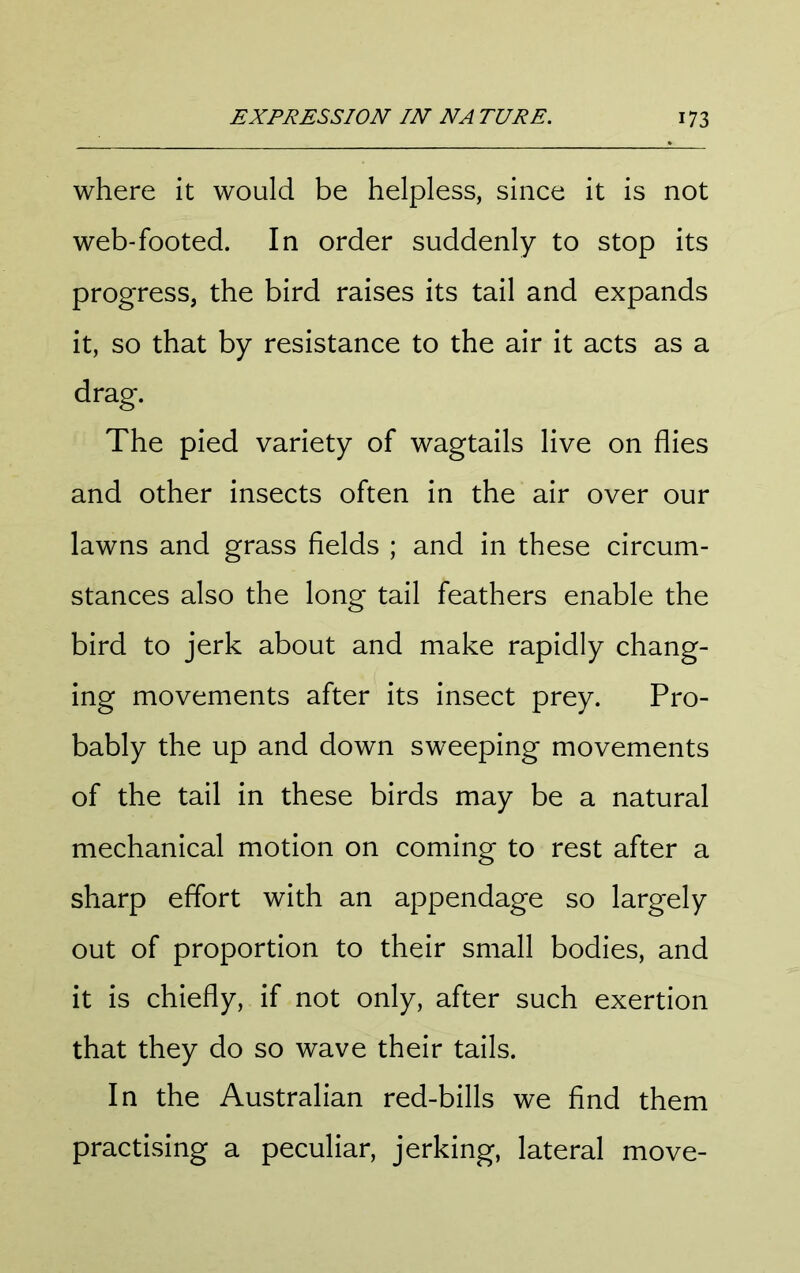 where it would be helpless, since it is not web-footed. In order suddenly to stop its progress, the bird raises its tail and expands it, so that by resistance to the air it acts as a drag. The pied variety of wagtails live on flies and other insects often in the air over our lawns and grass fields ; and in these circum- stances also the long tail feathers enable the bird to jerk about and make rapidly chang- ing movements after its insect prey. Pro- bably the up and down sweeping movements of the tail in these birds may be a natural mechanical motion on coming to rest after a sharp effort with an appendage so largely out of proportion to their small bodies, and it is chiefly, if not only, after such exertion that they do so wave their tails. In the Australian red-bills we find them practising a peculiar, jerking, lateral move-