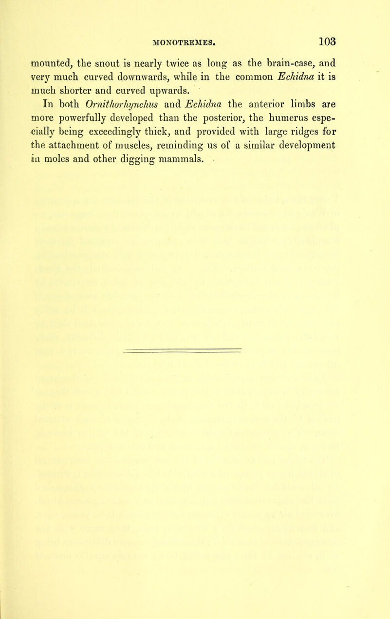 mounted, the snout is nearly twice as long as the brain-case, and very much curved downwards, while in the common Echidna it is much shorter and curved upwards. In both Ornithorhynchus and Echidna the anterior limbs are more powerfully developed than the posterior, the humerus espe- cially being exceedingly thick, and provided with large ridges for the attachment of muscles, reminding us of a similar development in moles and other digging mammals. .