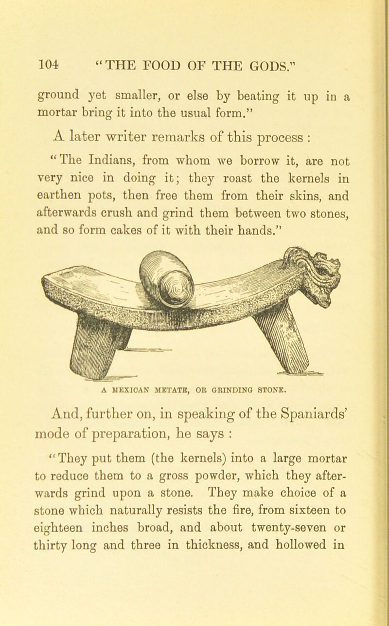 ground yet smaller, or else by beating it up in a mortar bring it into the usual form.” A later writer remarks of this process : “The Indians, from whom we borrow it, are not very nice in doing it; they roast the kernels in earthen pots, then free them from their skins, and afterwards crush and grind them between two stones, and so form cakes of it with their hands.” A MEXICAN MKTATE, OK GRINDING STONE. And, further on, in speaking of the Spaniards’ mode of preparation, he says : “They put them (the kernels) into a large mortar to reduce them to a gross powder, which they after- wards grind upon a stone. They make choice of a stone which naturally resists the fire, from sixteen to eighteen inches broad, and about twenty-seven or thirty long and three in thickness, and hollowed in