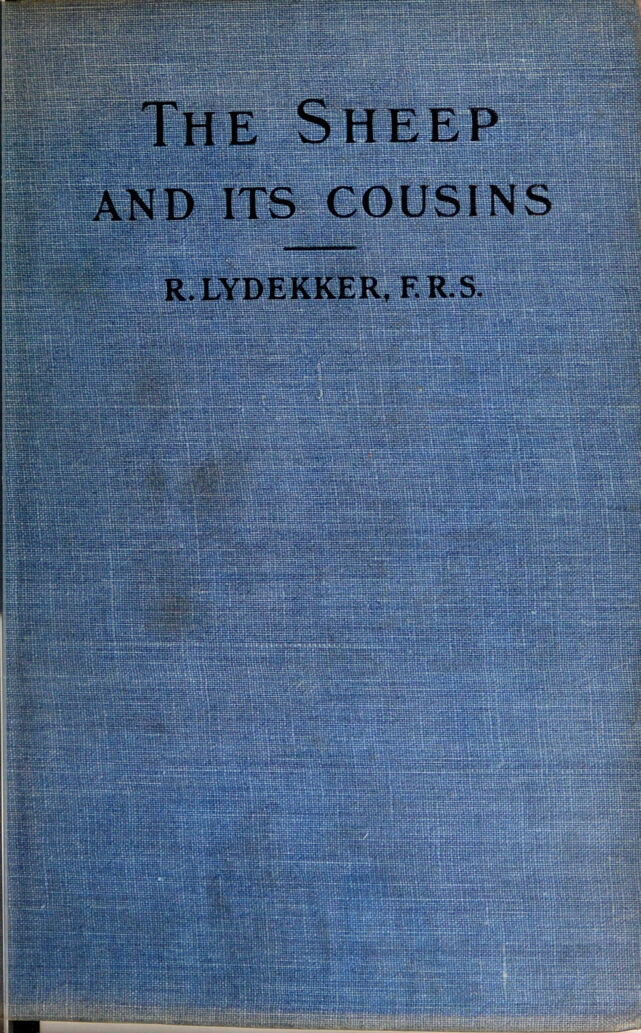 No text description is available for this image