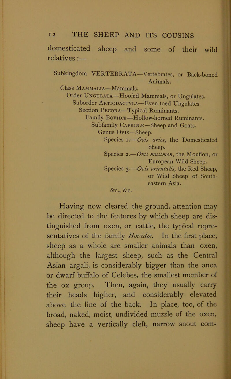 domesticated sheep and some of their wild relatives :— Subkingdom VERTEBRATA—Vertebrates, or Back-boned Animals. Class Mammalia—Mammals. Order Ungulata—Hoofed Mammals, or Ungulates. Suborder Artiodactyla—Even-toed Ungulates. Section Pecora—Typical Ruminants. Family Bovidve—Hollow-horned Ruminants. Subfamily Caprine—Sheep and Goats. Genus Ovis—Sheep. Species i.—Ovis aries, the Domesticated Sheep. Species 2.—Ovis musimon, the Mouflon, or European Wild Sheep. Species 3.—Ovis orientalis, the Red Sheep, or Wild Sheep of South- eastern Asia. &c., &c. Having now cleared the ground, attention may be directed to the features by which sheep are dis- tinguished from oxen, or cattle, the typical repre- sentatives of the family Bovidce. In the first place, sheep as a whole are smaller animals than oxen, although the largest sheep, such as the Central Asian argali, is considerably bigger than the anoa or dwarf buffalo of Celebes, the smallest member of the ox group. Then, again, they usually carry their heads higher, and considerably elevated above the line of the back. In place, too, of the broad, naked, moist, undivided muzzle of the oxen, sheep have a vertically cleft, narrow snout com-