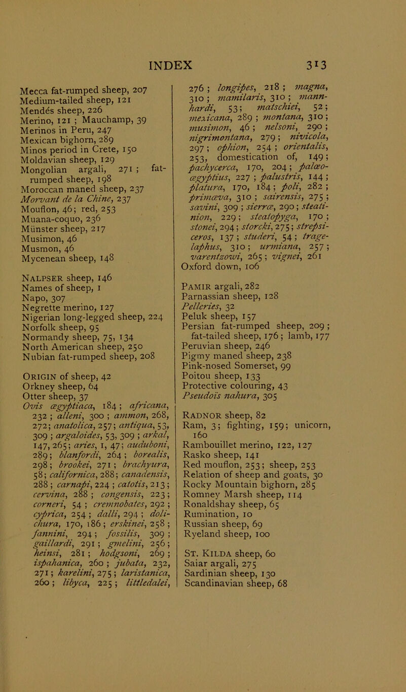 Mecca fat-rumped sheep, 207 Medium-tailed sheep, 121 Mendds sheep, 226 Merino, 121 ; Mauchamp, 39 Merinos in Peru, 247 Mexican bighorn, 289 Minos period in Crete, 150 Moldavian sheep, 129 Mongolian argali, 271 ; fat- rumped sheep, 198 Moroccan maned sheep, 237 Mow ant de la Chine, 237 Mouflon, 46; red, 253 Muana-coquo, 236 Munster sheep, 217 Musimon, 46 Musmon, 46 Mycenean sheep, 148 Nalpser sheep, 146 Names of sheep, 1 Napo, 307 Negrette merino, 127 Nigerian long-legged sheep, 224 Norfolk sheep, 95 Normandy sheep, 75, 134 North American sheep, 250 Nubian fat-rumped sheep, 208 Origin of sheep, 42 Orkney sheep, 64 Otter sheep, 37 Ovis cegyptiaca, 184; africana, 232 ; alleni, 300 ; amnion, 268, 272; anatolica, 257; antiqua, 53, 309 ; argaloides, 53, 309 ; arkal, 147, 265; aries, 1, 47; auduboni, 289; blanfordi, 264 ; borealis, 298; brookei, 271; brachyura, 58; californica, 288; canadensis, 288 ; carnapi, 224 ; calotis, 213 ; cewina, 288 ; congensis, 223; corneri, 54 ; cremnobatcs, 292 ; cyprica, 254 ; dalli, 294 ; doli- chura, 170, 186 ; erskinei, 258 ; fannini, 294; fossilis, 309 ; gaillardi, 291 ; gmelini, 256 ; heinsi, 281 ; hodgsoni, 269 ; ispahanica, 260 ; jubata, 232, 271; karelini, 275 ; laris tunica, 260; libyca, 225 ; littledalei, 276 ; longipes, 218 ; magna, 310 ; matnilaris, 310 ; mann- hardi, 53; matschiei, 52; mexicana, 289 ; montana, 310; musimon, 46 ; nelsoni, 290 ; nigrimontana, 279; nivicola, 297 ; ophion, 254 ; orientalis, 253, domestication of, 149; pachycerca, 170, 204; palceo- cegyp tins, 227 ; pains tris, 144; platura, 170, 184; poli, 282; primceva, 310 ; sairensis, 275 ; savini, 309 ; sierra, 290; steati- nion, 229; stealopyga, 170; stonei, 294; s/orcki, 275; strepsi- ceros, 137; studeri, 54; trage- laphus, 310; urmiana, 257; varentzowi, 265; vignei, 261 Oxford down, 106 Pamir argali, 282 Parnassian sheep, 128 Pellcries, 32 Peluk sheep, 157 Persian fat-rumped sheep, 209 ; fat-tailed sheep, 176; lamb, 177 Peruvian sheep, 246 Pigmy maned sheep, 238 Pink-nosed Somerset, 99 Poitou sheep, 133 Protective colouring, 43 Pseudois nahura, 305 Radnor sheep, 82 Ram, 3; fighting, 159; unicorn, 160 Rambouillet merino, 122, 127 Rasko sheep, 141 Red mouflon, 253; sheep, 253 Relation of sheep and goats, 30 Rocky Mountain bighorn, 285 Romney Marsh sheep, 114 Ronaldshay sheep, 65 Rumination, 10 Russian sheep, 69 Ryeland sheep, 100 St. Kilda sheep, 60 Saiar argali, 275 Sardinian sheep, 130 Scandinavian sheep, 68