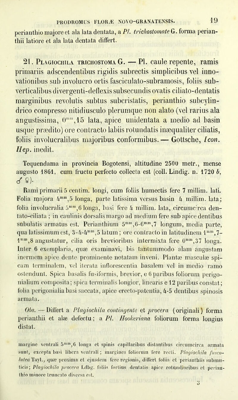 perianthio majore et ala lata dentata, a Pl. trichostomate G. forma perian- thii latiore et ala lata dentata differt. 21. Plagiochila triciiostoma G. — Pl. caule repente, ramis primariis adscenclentibus rigidis subrectis simplicibus vel inno- vationibus sub involucro ortis fasciculato-subramosis, foliis sub- verticalibus divergenti-deflexis subsecundis ovatis ciliato-dentatis marginibus revolutis subtus subcristatis, perianthio subcylin- drico compresso nitidiusculo plerumque non alato (vel rarius ala angustissima, 0mm,15 lata, apice unidentata a medio ad basin usque praedito) ore contracto labiis rotundatis inaequaliter ciliatis, foliis involucralibus majoribus conformibus.— Gottsche, Leon. Hep. inedit. Tequendama in provincia Bogotensi, altitudine 2500 metr., mense augusto 1861, cum fructu perfecto collecta est (coli. Lindig. n. 1720 b, c/ ?)• Rami primarii 5 centim. longi, cum foliis humectis fere 7 millim. lati. Folia majora 4”m,5 longa, parte latissima versus basin U millim. lata; folia involucralia 5mm,6 longa, basi fere h millim. lata, circumcirca den- tato-ciliata ; in caulinis dorsalis margo ad medium fere sub apice dentibus subulatis armatus est. Perianthium 5n,“,6-6mm,7 longum, media parte, qua latissimum est, 3-4-4““,5 latum; ore contracto in latitudinem 1““,7- l“m,8 angustatur, cilia oris brevioribus intermixta fere 0mm,37 longa. Inter 6 exemplaria, quae examinavi, bis tantummodo alam angustam inermem apice dente prominente notatam inveni. Plantae masculae spi- cam terminalem, vel iterata inflorescentia basalem vel in medio ramo ostendunt. Spica basalis fusiformis, brevior, e 6 paribus foliorum perigo- nialium composita; spica terminalis longior, linearis e 12 paribus constat; folia perigonialia basi saccata, apice erecto-patentia, 4-5 dentibus spinosis armata. Obs. —Differt a Plagiochila contingente et procero, (originali) forma perianthii et alae defectu; a Pl. Hookeriana foliorum forma longius distat. margine ventrali 5mm,6 longa et spinis capillaribus distantibus circumcirca armata sunt, excepta basi libera ventrali; margines foliorum fere recti. Plagiochila fusco- lutea Tayl., quae proxima et ejusdem fere regionis, differt foliis ct periantbiis submu- ticis; Plagiochila procera Ldbg. foliis fortius dentatis apice rotundioribus et perian- thio minore truncato diversa est.