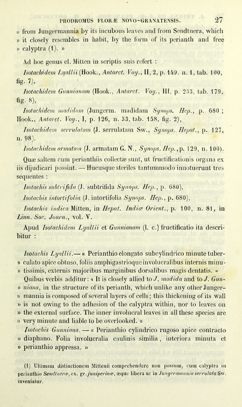 » from Jungermannia by its incubous leaves and from Sendtnera, which » it closely reseinbles in habit, by the form of its perianth and free » calyptra (1). » Ad hoc genus cl. Mitten in scriptis suis refert : Isotachidem Lyallii (Hook., Antarct. Voy., II, 2, p. 1 UD. n. 1, tab. 100, fig- 7), Isotachidem Gunnianam (Hook., Antarct. Voy., III, p. 233, tab. 179, fig- 8), Isotachidem madidam (Jungerm. madidam Synops. Hep., p. 680 ; Hook., Antarct. Voy., I, p. 126, n. 33, tab. 158, fig. 2), Isotachidem serrulatam (J. serrulatam Sw., Synops. Hepat., p. 127, n. 98). Isotachidem armatam (J. armatam G. N., Synops. Hep.,p. 129, n. 100). Qute saltem cum perianthiis collectae sunt, ut fructificationis organa ex iis dijudicari possint. — Hucusque steriles tantummodo innotuerunt tres sequentes : Isotachis subtrifida (J. subtrifida Synops. Hep., p. 680), Isotachis intorti folia (.1. intortifolia Synops. Hep., p. 680), Isotachis indica Mitten, in Hepat. Indice Orient., p. 100, n. 81, in Linn. Sor. Journ., vol. V. Apud Isotachidem Lyallii et Gunnianam (1. c.) fructificatio ita descri- bitur : Isotachis Lyallii.— « Perianthio elongato subcylindrico minute tuber- » culato apice obtuso, foliis amphigastrioqueinvolucralibus internis minu- » tissimis, externis majoribus marginibus dorsalibus magis dentatis. » Quibus verbis additur: « It is closely allied to/. madida and to/. Gun- » niana, in the structure of its perianth, which unlike any other Junger- » mannia is composed of several layers of cells; this thickening of its wall >.> is not owing to the adhesion of the calyptra within, nor to leaves on » the external surface. The inner involucral leaves in ali these species are i) very minute and liable to be overlooked. » Isotachis Gunniana. — « Perianthio cylindrico rugoso apice contracto » diaphano. Folia involucralia cardinis similia, interiora minuta et » perianthio appressa. » (1) Ultimam distinctionem Mittenii comprehendere non possum, cum calyptra in perianthio Sendtnerce, ex. gr.juniperince, aeque libera ac in Jungermannia serrulata Sw. inveniatur.