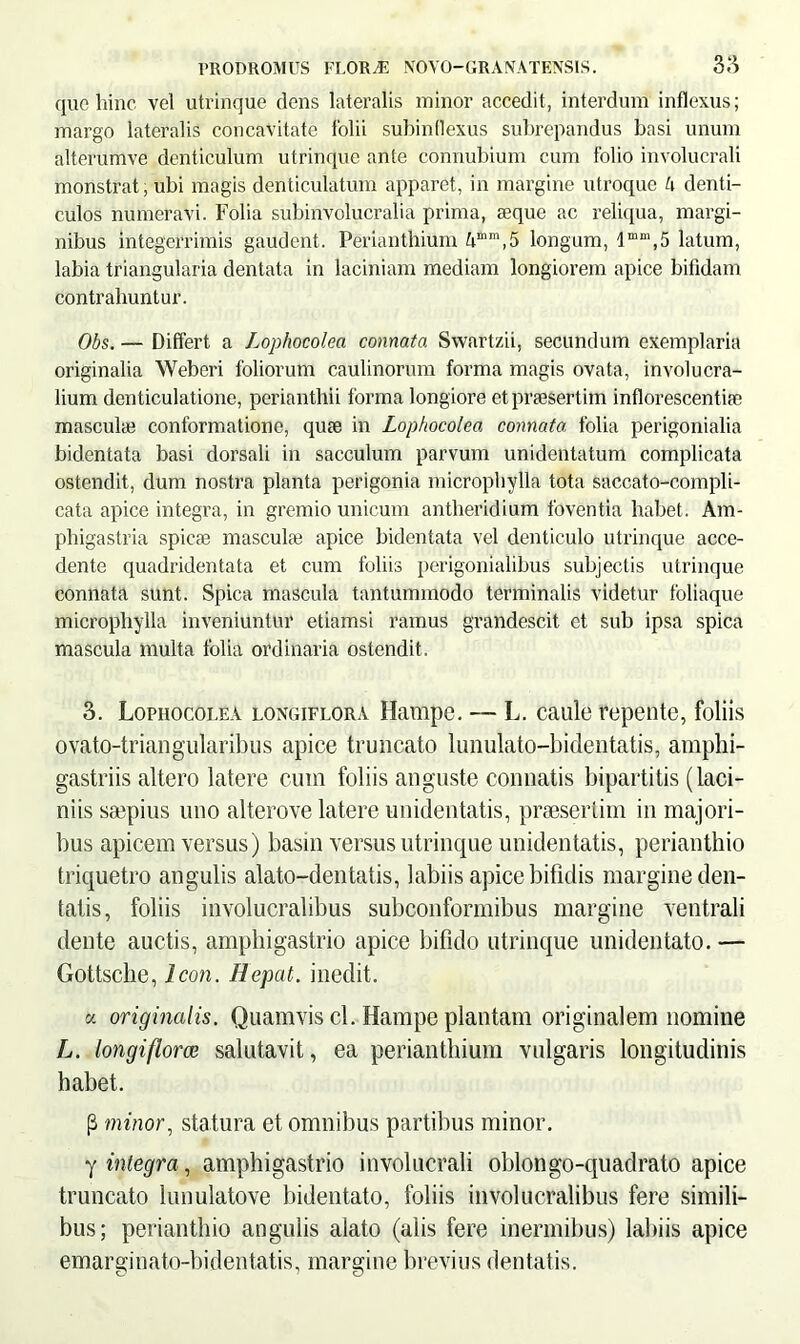 quo hinc vel utrinque dens lateralis minor accedit, interdum inflexus; margo lateralis concavitate folii subinflexus subrepandus basi unum alterumve denticulum utrinque ante connubium cum folio involucrali monstrat, ubi magis denticulatum apparet, in margine utroque L\ denti- culos numeravi. Folia subinvolucralia prima, seque ac reliqua, margi- nibus integerrimis gaudent. Perianthium Amm,5 longum, lmm,5 latum, labia triangularia dentata in laciniam mediam longiorem apice bifidam contrahuntur. Obs. — Differt a Lophocolea connata Swartzii, secundum exemplaria originalia Weberi foliorum caulinorum forma magis ovata, involucra- lium denticulatione, perianthii forma longiore et praesertim inflorescentia? masculae conformatione, quse in Lophocolea connata folia perigonialia bidentata basi dorsali in sacculum parvum unidentatum complicata ostendit, dum nostra planta perigonia microphylla tota saccato-compli- cata apice integra, in gremio unicum antheridium foventia habet. Am- phigastria spicae mascula? apice bidentata vel denticulo utrinque acce- dente quadridentata et cum foliis perigonialibus subjectis utrinque connata sunt. Spica mascula tantummodo terminalis videtur foliaque microphylla inveniuntur etiamsi ramus grandescit et sub ipsa spica mascula multa folia ordinaria ostendit. 3. Lophocolea longiflora Hampc. — L. caule repente, foliis ovato-triangularibus apice truncato lunulato-bidentatis, amphi- gastriis altero latere cum foliis anguste connatis bipartitis (laci- niis smpius uno alterove latere unidentatis, praesertim in majori- bus apicem versus) basin versus utrinque unidentatis, perianthio triquetro angulis alato-den tatis, labiis apice bifidis margine den- tatis, foliis involucralibus subconformibus margine ventrali dente auctis, amphigastrio apice bifido utrinque unidentato. — Gottsclie, Icon. Hepat. inedit. « originalis. Quamvis cl. Hampe plantam originalem nomine L. longiflorce salutavit, ea perianthium vulgaris longitudinis habet. P minor, statura et omnibus partibus minor. y integra, amphigastrio involucrali oblongo-quadrato apice truncato lunulatove bidentato, foliis involucralibus fere simili- bus; perianthio angulis alato (alis fere inermibus) labiis apice emarginato-bidentatis, margine brevius dentatis.