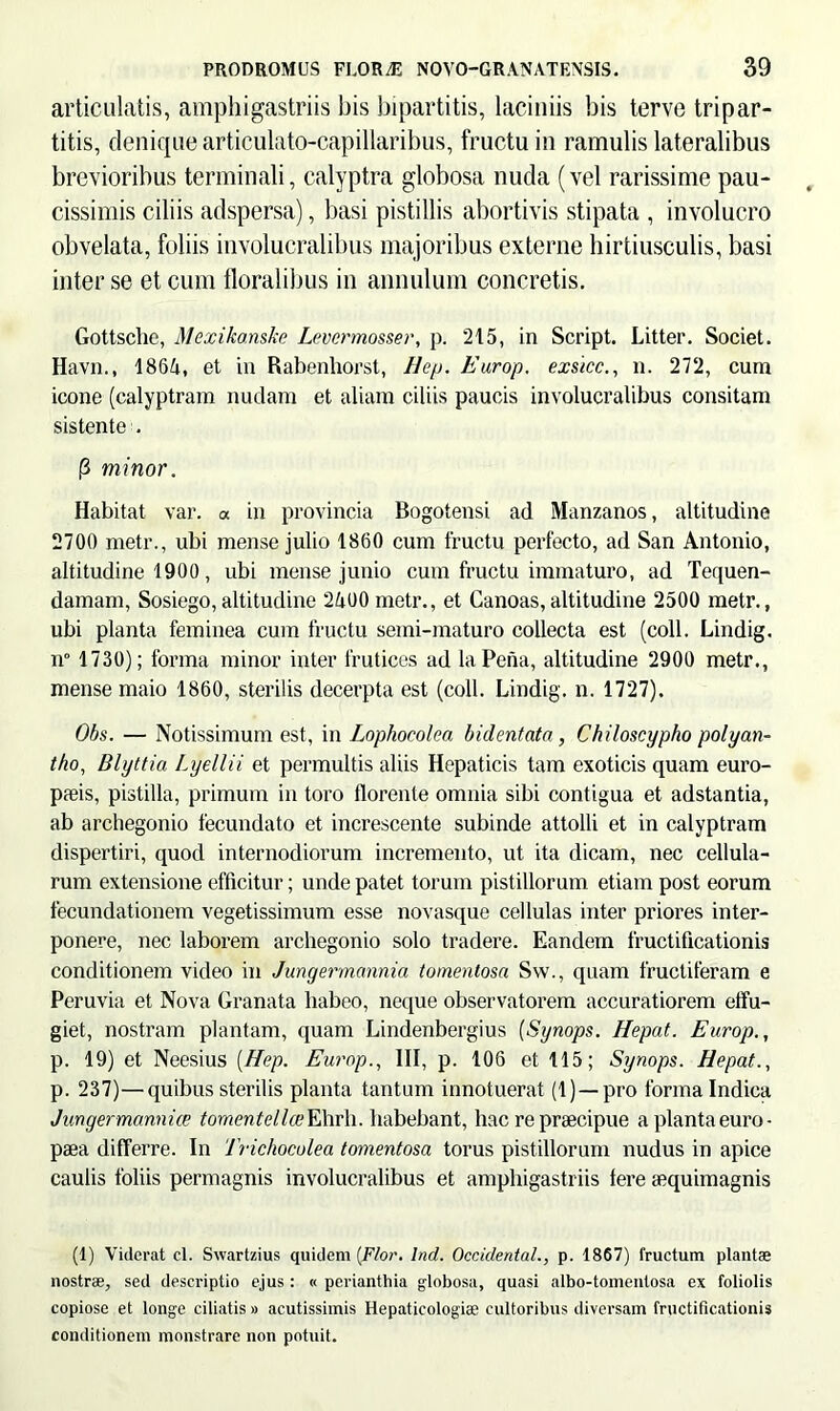 articulatis, amphigastriis bis bipartitis, laciniis bis terve tripar- titis, denique articulato-capillaribus, fructu in ramulis lateralibus brevioribus terminali, calyptra globosa nuda (vel rarissime pau- cissimis ciliis adspersa), basi pistillis abortivis stipata , involucro obvelata, foliis involucralibus majoribus externe hirtiusculis, basi inter se et cum floralibus in annulum concretis. Gottsche, Mexikonske Levcrmosser, p. 215, in Script. Litter. Societ. Havn., 1864, et in Rabenhorst, Hep. Europ. exsicc., n. 272, cum icone (calyptram nudam et aliam ciliis paucis involucralibus consitam sistente . (3 minor. Habitat var. « in provincia Bogotensi ad Manzanos, altitudine 2700 metr., ubi mense julio 1860 cum fructu perfecto, ad San Antonio, altitudine 1900, ubi mense junio cum fructu immaturo, ad Tequen- damam, Sosiego,altitudine 2400 metr., et Canoas,altitudine 2500 metr., ubi planta feminea cum fructu semi-maturo collecta est (coli. Lindig. n° 1730); forma minor inter frutices ad laPena, altitudine 2900 metr., mense maio 1860, sterilis decerpta est (coli. Lindig. n. 1727). Obs. — Notissimum est, in Lophocolea bidentata, Chiloscypho polyan- tho, Blyttia Lyellii et permultis aliis Hepaticis tam exoticis quam euro- paeis, pistilla, primum in toro florente omnia sibi contigua et adstantia, ab archegonio fecundato et increscente subinde attolli et in calyptram dispertiri, quod internodiorum incremento, ut ita dicam, nec cellula- rum extensione efficitur; unde patet torum pistillorum etiam post eorum fecundationem vegetissimum esse novasque cellulas inter priores inter- ponere, nec laborem archegonio solo tradere. Eandem fructificationis conditionem video in Jungermannia tomentosa Sw., quam fructiferam e Peruvia et Nova Granata habeo, neque observatorem accuratiorem effu- giet, nostram plantam, quam Lindenbergius (Synops. Hepat. Europ., p. 19) et Neesius (Hep. Europ., III, p. 106 et 115; Synops. Hepat., p. 237)—quibus sterilis planta tantum innotuerat (1) —pro forma Indica Jungermannice tomentellce Ehrli. habebant, hac re praecipue a planta euro- paea differre. In Trichocolea tomentosa torus pistillorum nudus in apice caulis foliis permagnis involucralibus et amphigastriis Iere aequimagnis (1) Viderat cl. Swartzius quidem (Flor. lnd. Occidental., p. 1867) fructum plantae nostrae, sed descriptio ejus: « perianthia globosa, quasi albo-tomentosa ex foliolis copiose et longe ciliatis » acutissimis Hepaticologim cultoribus diversam fructificationis conditionem monstrare non potuit.