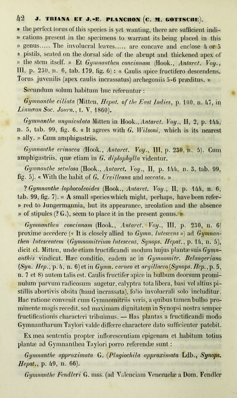 » tlie perfect torus ofthis species is yet wanting, there are sufficient indi- » cations present in thc specimens to warrant its being placed in this » genus The involucral leaves are concave and enclose h or 5 8 pistils, seated on tlie dorsal side of the abrupt and thickened apex of » tlie stem itself. » Et Gymnanthen concinnam (Hook., Antarct. Voy., III, p. 230, n. 6, tab. 179, fig. 6) : « Caulis apice fructifero descendens. Torus juvenilis (apex caulis incrassatus) archegoniis 5-6 praeditus. » Secundum solum habitum lmc referuntur : Gymnanthe ciliata (Mitten, Hepat. of the East Indies, p. 100, n. 57, in Linnccan Soc. Journ., t. Y, 1860). Gymnanthe unguiculata Mitten in Hook., Antarct. Voy., II, 2, p. 155, n. 5, tab. 99, fig. 6. « It agrees with G. Wilsoni, which is its nearest n ally. w Cum amphigastriis. Gymnanthe erinacea (Hook., Antarct. Voy., III, p. 230, n. 5). Cum amphigastriis, quae etiam in G. diplophylla videntur. Gymnanthe setidosa (Hook., Antarct. Voy., II, p. 1 55, n. 3, tab. 99, fig. 5). « With the liabit of G. Urvilleana and saccata. » ? Gymnanthe lophocoleoides (Hook., Antarct. Voy:, II, p. 1 l\h, n. 6, tab. 99, fig. 7). « A small species which miglit, perhaps, havebeen refer- » red to Jungermannia, but its appearance, areolation and the absence » of stipules (? G.), seem to place it in the present genus. » Gymnanthen concinnam (Hook., Antarct. Voy., III, p. 230, n. 6) proxime accedere (<< Itis closely allied to Gymn. lutescens ») ad Gymnan- then lutescentem (Gymnomitrium lutescens, Synops. Hepat., p. 15, n. 5), dicit cl. Mitten, unde etiam Iructificandi modum hujus plantae suis Gyrnn- anthis vindicat. Haec conditio, eadem ac in Gymnomitr. Belangeriano (.Syn. Hep., p. L\, n. 6)etin Gymn. carneo et argillaceo (Synops. Hcp., p. 5, n. 7 et 8) autem talis est. Caulis fructifer apice in bulbum deorsum promi- nulum parvum radicosum augetur, calyptra tota libera, basi vel altius pi- stillis abortivis obsita (haud incrassata), folio involucrali solo includitur. Hac rat ione convenit cum Gymnomitriis veris, a quibus tamen bulbo pro- minente magis recedit, sed maximam dignitatem in Synopsi nostra semper fructificationis characteri tribuimus. — Has plantas a fructificandi modo Gymnantharum Taylori valde differre charactere dato sufficienter patebit. Ex mea sententia propter intlorescentiam epigenam et habitum totius plantai ad Gymnanthen Taylori porro referendae sunt: Gymnanthe approximata G. (Plagiocliila approximata Ldb., Synops. Hepat., p. 59, n. 66). Gymnanthe Fendleri G. mss. (ad Valendam Venezuelae a Dom. Fendler