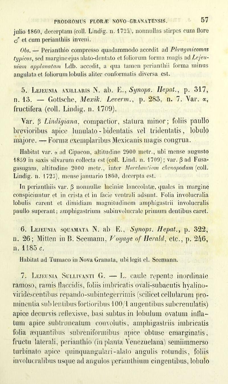 julio 1860, decerptam (coli. Lindig. n. 1725), nonnullas stirpes cum flore (f et cum perianthiis inveni. Obs. — Perianthio compresso quadammodo accedit ad Phragmicomas typicos, sed margine ejus alato-dentato et foliorum forma magis ad Lejeu- ri i am applanatam Ldb. accedit, a qua tamen perianthii forma minus angulata et foliorum lobulis aliter conformatis diversa est. 5. Lejeunia axillaris N. ab. E., Synops. Hepat., p. 317, n. 13. — Gottsche, Mexik. Leverm., p. 283, n. 7. Var. a, fructifera (coli. Lindig. n. 1709). Var. [3 Lindigiana. compactior, statura minor; foliis paullo brevioribus apice lunulato - bidentalis vel tridentatis, lobulo majore. — Forma exemplaribus Mexicanis magis congrua. Habitat var. « ad Cipacon, altitudine 2900 metr., ubi mense augusto 1859 in saxis silvarum collecta est (coli. Lind. n. 1709); var. (3 ad Fusa- gasugam, altitudine 2000 metr., inter Marchantinm chenopodam (coli. Lindig. n. 1723), mense januario 1860, decerpta est. In perianthiis var. |3 nonnullae laciniae lanceolatae, quales in margine conspiciuntur et in crista et in facie ventrali adsunt. Folia involucralia lobulis carent et dimidiam magnitudinem amphigastiii involucralis paullo superant; amphigastrium subinvolucrale primum dentibus caret. 6. Lejeunia squamata N. ab E., Synops. Hepat., p. 322, n. 26; Mitten in B. Seemami, Voyage of Herald, etc., p. 2^6, n. 1185 c. Habitat ad Tumaco in Nova Granata, ubi legit cl. Seemann. 7. Lejeunia Sullivanti G. — L. caule repente inordinate ramoso, ramis flaccidis, foliis imbricatis ovali-subacutis hyalino- viiidescentihus repando-subintegerrimis (scilicet cellularum pro- minentia sub lentibus fortioribus 100/1 augentibus subcrenulatis) apice decurvis reflexisve, basi subtus in lobulum ovatum infla- tum apice subtruncatum convolutis, amphigastriis imbricatis folia aequantibus subreniformibus apice obtuse emarginatis, fructu laterali, perianthio (in planta Venezuelana) semiimmerso turbinato apice quinquangulari-alato angulis rotundis, foliis involucralibus usque ad angulos periantbium cingentibus, lobulo