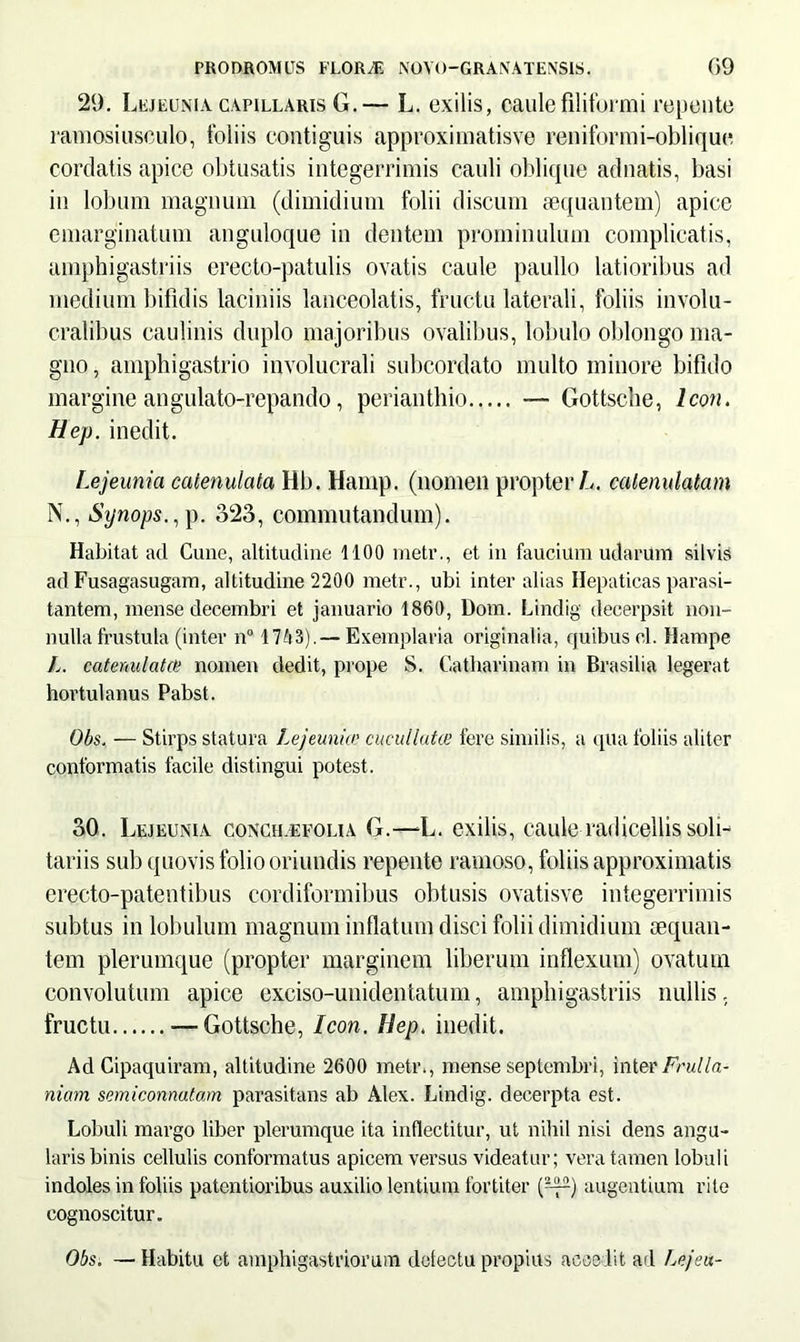 29. Lejeunia capillaris G.— L. exilis, caule filiformi repente ramosiusculo, foliis contiguis approximatisve reniformi-oblique cordatis apice obtusatis integerrimis cauli oblique adnatis, basi in lobum magnum (dimidium folii discum sequantem) apice emarginatum anguloque in dentem prominulum complicatis, amphigastriis erecto-patulis ovatis caule paullo latioribus ad medium bifidis laciniis lanceolatis, fructu laterali, foliis involu- cralibus caulinis duplo majoribus ovalibus, lobulo oblongo ma- gno , amphigastrio involucrali subcordato multo minore bifido margine angulato-repando, perianthio — Gottsclie, Icon. Hep. inedit. Lejeunia catenulata Hb. Hamp. (nomen propter L. calenulatam N., Synops., p. 323, commutandum). Habitat ad Cune, altitudine 1100 metr., et in faucium udarum silvis ad Fusagasugam, altitudine 2200 metr., ubi inter alias Hepaticas parasi- tantem, mense decembri et januario 1860, Dom. Lindig decerpsit non- nulla frustula (inter n° 1743).—Exemplaria originalia, quibuscl. Hampe L. catemilatcu nomen dedit, prope S. Catharinam in Brasilia legerat hortulanus Pabst. Obs. — Stirps statura Lejeunia' cucuilutte fere similis, a qua foliis aliter conformatis facile distingui potest. 30. Lejeunia conch.efolia G.—L. exilis, caule radicellis soli- tariis sub quovis folio oriundis repente ramoso, foliis approximatis erecto-patentibus cordiformibus obtusis ovatisve integerrimis subtus in lobulum magnum inflatum disci folii dimidium aequan- tem plerumque (propter marginem liberum inflexum) ovatum convolutum apice exciso-uuidentatum, amphigastriis nullis, fructu — Gottsche, Icon. Hep. inedit. Ad Cipaquiram, altitudine 2600 metr., mense septembri, inter Frulla- niam semiconnatam parasitans ab Alex. Lindig. decerpta est. Lobuli margo liber plerumque ita inflectitur, ut nihil nisi dens angu- laris binis cellulis conformatus apicem versus videatur; vera tamen lobuli indoles in foliis patentioribus auxilio lentium fortiter (^) augentium rite cognoscitur. Obs. — Habitu et amphigastriorum defectu propius accedit ad Lejeix-