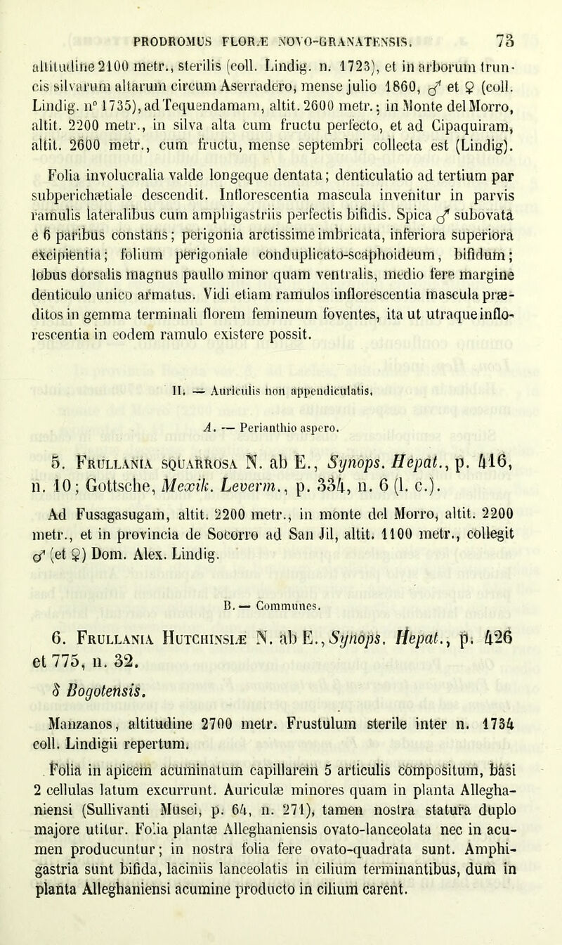 altitudine 2100 metr., sterilis (coli. Lindig. n. 1723), et in arborum trun- cis silvarum altarum circum Aserradero, mense julio 1860, ^ et 9 (coli. Lindig. n° 1735),adTequendamam, altit. 2600 metr. \ in Monte delMorro, altit. 2200 metr., in silva alta cum fructu perfecto, et ad Cipaquiram, altit. 2600 metr., cum fructu, mense septembri collecta est (Lindig). Folia involucralia valde longeque dentata; denticulatio ad tertium par subperichaetiale descendit. Inflorescentia mascula invenitur in parvis ramulis lateralibus cum ampliigastriis perfectis bifidis. Spica subovata e 6 paribus constans; perigonia arctissime imbricata, inferiora superiora excipientia; folium perigoniale conduplicato-scaplioideum, bifidum; lobus dorsalis magnus paullo minor quam ventralis, medio fere margine denticulo unico armatus. Vidi etiam ramulos inflorescentia mascula prae- ditos in gemma terminali florem femineum foventes, ita ut utraque inflo- rescentia in eodem ramulo existere possit. II, — Auriculis liem appendiculatis, A. — Perianthio aspero. 5. Frullania squarrosa N. ab E., Synops. Hepat., p. 416, n. 10; Gottsche, Mexik. Leverm., p. 334, n. 0 (1. c.). Ad Fusagasugam, altit. 2200 metr., in monte dei Morro, altit. 2200 metr., et in provincia de Socorro ad San Jil, altit. 1100 metr., collegit 01 (et $) Dom. Alex. Lindig. B. — Communes. 6. Frullania Hutchinsle N. ab E.,Synops. Hepat., p. 426 et 775, n. 32. S Bogotensis. Manzanos, altitudine 2700 metr. Frustulum sterile inter n. 1734 coli. Lindigii repertum. Folia in apicem acuminatum capillarem 5 articulis compositum, basi 2 cellulas latum excurrunt. Auriculae minores quam in planta Allegha- niensi (Sullivanti Musci, p. 64, n. 271), tamen nostra statura duplo majore utitur. Folia plantae Alleghaniensis ovato-lanceolata nec in acu- men producuntur; in nostra folia fere ovato-quadrata sunt. Amphi- gastria sunt bifida, laciniis lanceolatis in cilium terminantibus, dum in planta Alleghaniensi acumine producto in cilium carent.