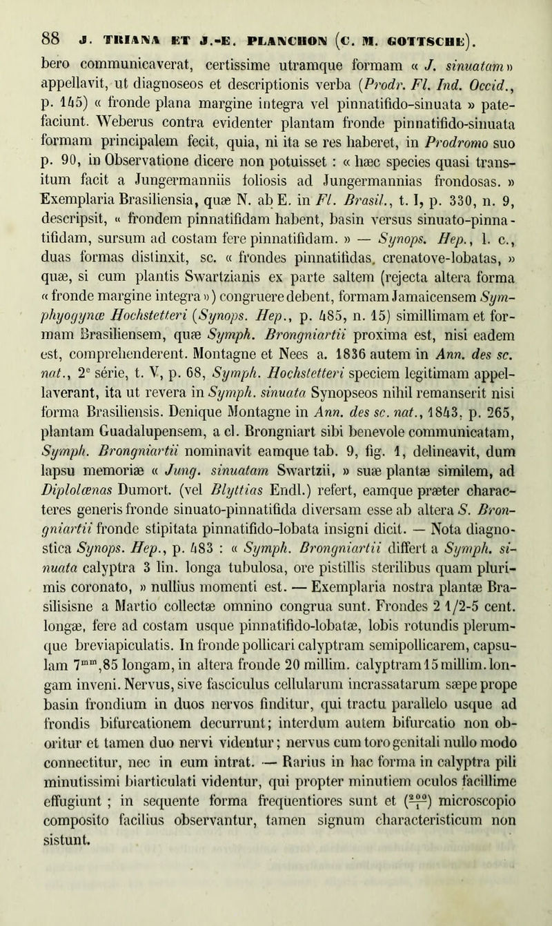 bero communicaverat, certissime utramque formam « J. sinuatum» appellavit, ut diagnoseos et descriptionis verba (Prodr. FI. Ind. Occid., p. 165) « fronde plana margine integra vel pinnatifido-sinuata » pate- faciunt. Weberus contra evidenter plantam fronde pinnatifido-sinuata formam principalem fecit, quia, ni ita se res haberet, in Prodromo suo p. 90, in Observatione dicere non potuisset : « haec species quasi trans- itum facit a Jungermanniis foliosis ad Jungermannias frondosas. » Exemplaria Brasiliensia, quae N. ab E. in FI. Prasii., t.l, p. 330, n. 9, descripsit, « frondem pinnatifidam habent, basin versus sinuato-pinna - tifidam, sursum ad costam fere pinnatifidam. » — Synops. Hep., 1. c., duas formas distinxit, sc. « frondes pinnatitidas. crenatove-lobatas, » quae, si cum plantis Swartzianis ex parte saltem (rejecta altera forma « fronde margine integra») congruere debent, formam Jamaicensem Sym- phyoyynce Hochstetteri (Synops. Hep., p. 685, n. 15) simillimam et for- mam Brasiliensem, qu;e Symph. Brongniartii proxima est, nisi eadem est, comprehenderent. Montagne et Nees a. 1836 autem in Ann. des sc. nat., 2e serie, t. V, p. 68, Symph. Hochstetteri speciem legitimam appel- laverant, ita ut revera in Symph. sinuata Synopseos nihil remanserit nisi forma Brasiliensis. Denique Montagne in Ann. des sc. nat., 1S63. p. 265, plantam Guadalupensem, aci. Brongniart sibi benevole communicatam, Symph. Brongniartii nominavit eamque tab. 9, fig. 1, delineavit, dum lapsu memoriae « Jung. sinuatam Swartzii, » suae plantae similem, ad Diplolcenas Dumort. (vel Blyttias Endl.) refert, eamque praeter charac- teres generis fronde sinuato-pinnatifida diversam esse ab alterat. Bron- gniartii fronde stipitata pinnatifido-lobata insigni dicit. — Nota diagno- stica Synops. Hep., p. 683 : « Symph. Brongniartii differta Symph. si- nuata calyptra 3 lin. longa tubulosa, ore pistillis sterilibus quam pluri- mis coronato, » nullius momenti est. — Exemplaria nostra plantae Bra- silisisne a Martio collectae omnino congrua sunt. Frondes 2 1/2-5 cent. longae, fere ad costam usque pinnatifido-lobatae, lobis rotundis plerum- que breviapiculatis. In fronde pollicari calyptram semipollicarem, capsu- lam 7mm,85 longam, in altera fronde 20 millim. calyptraml5millim.lon- gam inveni. Nervus, sive fasciculus cellularum incrassatarum saepe prope basin frondium in duos nervos finditur, qui tractu parallelo usque ad frondis bifurcationem decurrunt; interdum autem bifurcatio non ob- oritur et tamen duo nervi videntur; nervus cum toro genitali nullo modo connectitur, nec in eum intrat. — Rarius in hac forma in calyptra pili minutissimi biarticulati videntur, qui propter minutiem oculos facillime effugiunt ; in sequente forma frequentiores sunt et (^) microscopio composito facilius observantur, tamen signum characteristicum non sistunt.