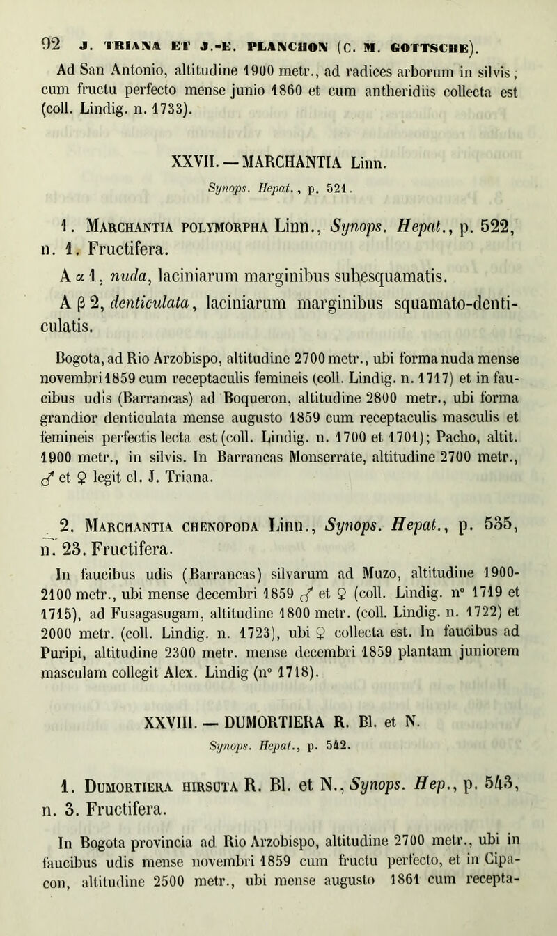 Ad San Antonio, altitudine 1900 meti\, ad radices arborum in silvis, cum fructu perfecto mense junio 1860 et cum antheridiis collecta est (coli. Lindig. n. 1733). XXVII. — MARCHANTIA Linn. Synops. Hepat., p. 521. 1. Marchantia polymorpha Linn., Synops. Hepat., p. 522, n. 1. Fructifera. A a 1, nuda, laciniarum marginibus suhesquamatis. A (3 2, denticulata, laciniarum marginibus squamato-clenti- culatis. Bogota, ad Rio Arzobispo, altitudine 2700 metr., ubi forma nuda mense novembril859 cum receptaculis femineis (coli. Lindig. n. 1717) et in fau- cibus udis (Barrancas) ad Boqueron, altitudine 2800 metr., ubi forma grandior denticulata mense augusto 1859 cum receptaculis masculis et femineis perfectis lecta est (coli. Lindig. n. 1700 et 1701); Pacho, altit. 1900 metr., in silvis. In Barrancas Monserrate, altitudine 2700 metr., et $ legit cl. J. Triana. 2. Marchantia ciienopoda Linn., Synops. Hepat., p. 535, n. 23. Fructifera. In faucibus udis (Barrancas) silvarum ad Muzo, altitudine 1900- 2100 metr., ubi mense decembri 1859 ^ et 2 (coli. Lindig. n° 1719 et 1715), ad Fusagasugam, altitudine 1800 metr. (coli. Lindig. n. 1722) et 2000 metr. (coli. Lindig. n. 1723), ubi 2 collecta est. In faucibus ad Puripi, altitudine 2300 metr. mense decembri 1859 plantam juniorem masculam collegit Alex. Lindig (n° 1718). XXVIII. — DUMORTIERA R. Bl. et N. Synops. Hepat., p. 542. 1. Dumortiera hirsuta R. Bl. et N., Synops. Hep., p. 543, n. 3. Fructifera. In Bogota provincia ad Rio Arzobispo, altitudine 2700 metr., ubi in faucibus udis mense novembri 1859 cum fructu perfecto, et in Cipa- con, altitudine 2500 metr., ubi mense augusto 1861 cum recepta-