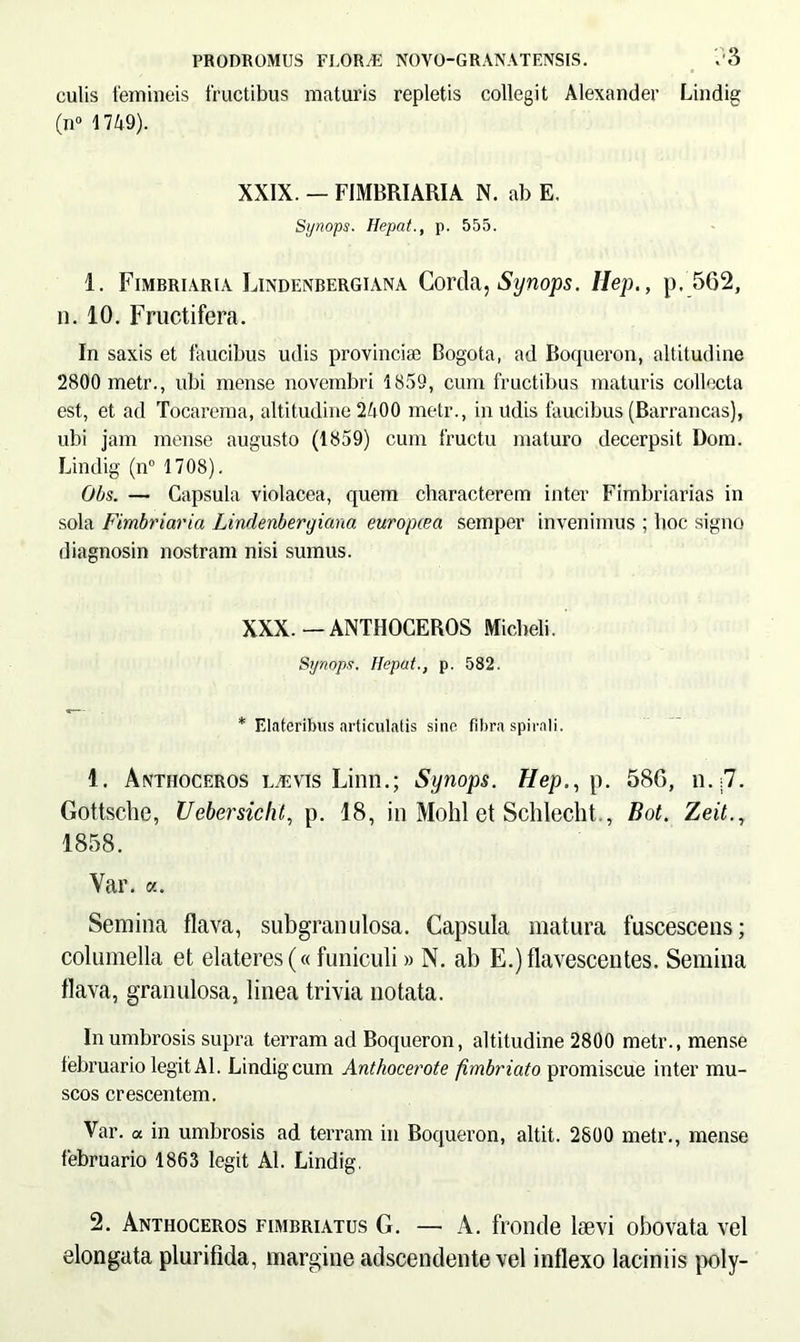 culis femineis fructibus maturis repletis collegit Alexander Lindig (n° 1749). XXIX. — FIMBRIARIA N. ab E. Synops. Hepat., p. 555. 1. Fimbriaria Lindenbergiana Corda, Sijnops. Hep.} p. 562, n. 10. Fructifera. In saxis et faucibus udis provinciae Bogota, ad Boqueron, altitudine 2800 metr., ubi mense novembri 1859, cum fructibus maturis collecta est, et ad Tocarema, altitudine 2400 metr., in udis faucibus (Barrancas), ubi jam mense augusto (1859) cum fructu maturo decerpsit Dom. Lindig (n° 1708). Obs. — Capsula violacea, quem characterem inter Fimbriarias in sola Fimbriaria Lindenbergiana europcea semper invenimus ; hoc signo diagnosin nostram nisi sumus. XXX. —ANTHOCEROS Micbeli. Synops, Hepat., p. 582. * Elateribus articulatis sine fibra spirali. 1. Anthoceros uevis Linn.; Synops. Hep., p. 586, n.;7. Gottsche, Uebcrsicht,, p. 18, in Mohl et Schlecht., Bot. Zeit., 1858. Var. a. Semina flava, subgranulosa. Capsula matura fuscescens; columella et elateres(« funiculi» N. ab E.) flavescentes. Semina flava, granulosa, linea trivia notata. In umbrosis supra terram ad Boqueron, altitudine 2800 metr., mense februario legit AI. Lindig cum Anthocerote fimbriato promiscue inter mu- scos crescentem. Var. a in umbrosis ad terram in Boqueron, altit. 2800 metr., mense februario 1863 legit AI. Lindig. 2. Anthoceros fimbriatus G. — A. fronde laevi obovata vel elongata plurifida, margine adscendente vel inflexo laciniis poly-