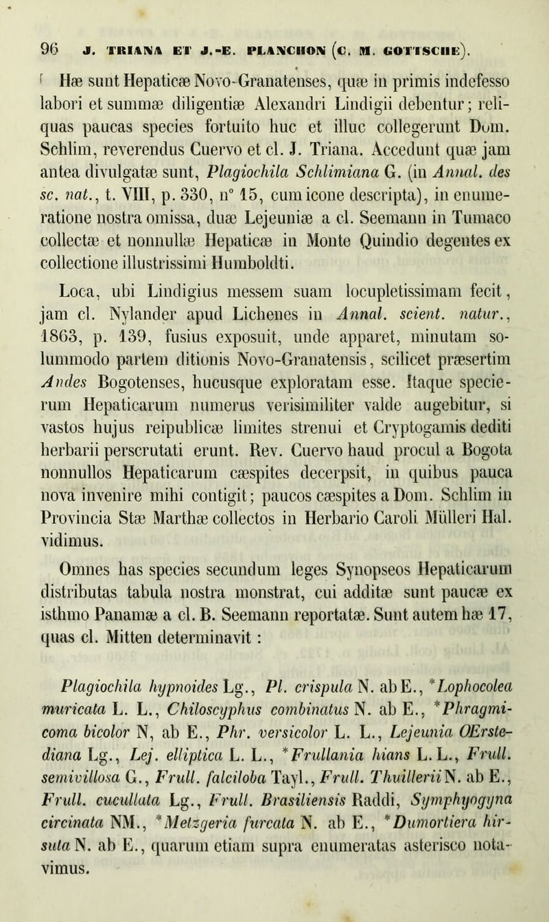 ' Hae sunt Hepaticae Novo-Granatenses, quae in primis indefesso labori et summae diligentiae Alexandri Lindigii debentur; reli- quas paucas species fortuito huc et illuc collegerunt Duin. Schlim, reverendus Cuervo et cl. J. Triana. Accedunt quae jam antea divulgatae sunt, Plagiochila Schlimiana G. (in Annal. des sc. nat., t. VIII, p. 330, n° 15, cum icone descripta), in enume- ratione nostra omissa, duae Lejeuniae a cl. Seemann in Tumaco collectae et nonnullae Hepaticae in Monte Quindio degentes ex collectione illustrissimi Humboldti. Loca, ubi Lindigius messem suam locupletissimam fecit, jam cl. Nylander apud Lichenes in Annal. scient, natur., 1863, p. 139, fusius exposuit, unde apparet, minutam so- lummodo partem ditionis Novo-Granatensis, scilicet praesertim Andes Bogotenses, hucusque exploratam esse. Itaque specie- rum Hepaticarum numerus verisimiliter valde augebitur, si vastos hujus reipublicae limites strenui et Cryptogamis dediti herbarii perscrutati erunt. Rev. Cuervo haud procul a Bogota nonnullos Hepaticarum caespites decerpsit, in quibus pauca nova invenire mihi contigit; paucos caespites a Dom. Schlim in Provincia Stae Marthae collectos in Herbario Caroli Mulieri Hal. vidimus. Omnes has species secundum leges Synopseos Hepaticarum distributas tabula nostra monstrat, cui additae sunt paucae ex isthmo Panamae a cl. B. Seemann reportatae. Sunt autem hae 17, quas cl. Mitten determinavit: Plagiochila hypnoides Lg., Pl. crispula N. ab E., *Lopliocolea muricata L. L., Chiloscyphus combinatus N. ab E., *Phragmi- coma bicolor N, ab E., Phr. versicolor L. L., Lejeunia OErste- diana Lg., Lej. elliptica L. L., *Frullania hians L.L., Frull. semivillosa G., Frull. falciloba Tayl., Frull. ThuilleriiN. ab E., Frull. cucullala Lg., F rull. Brasiliensis Raddi, Symphyogyna circinata NM., *Melzgeria furcala N. ab E., *Dumortiera hir- suta N. ab E., quarum etiam supra enumeratas asterisco nota- vimus.