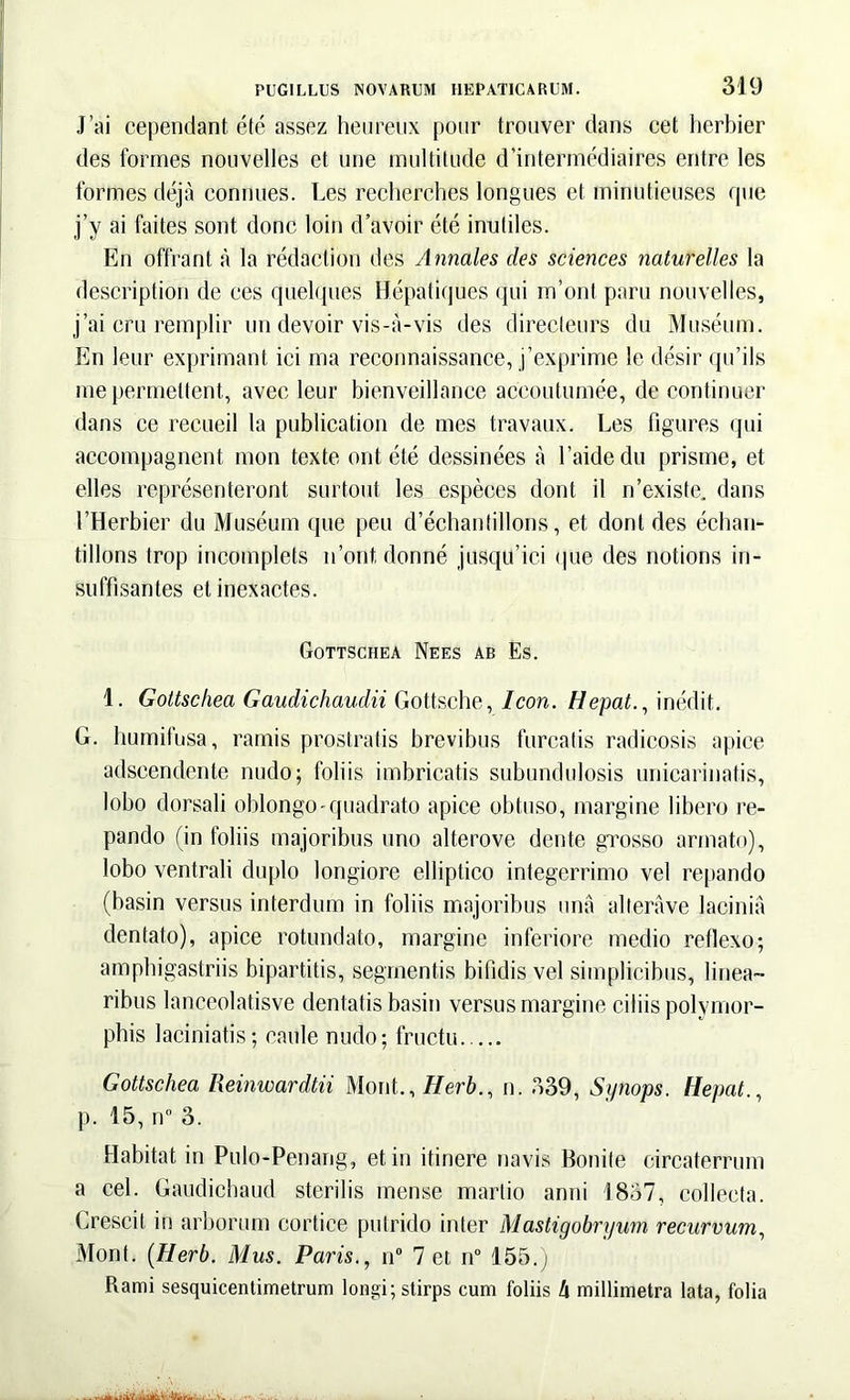 J’ai cependant ete assez heureux poiir trouver dans cet licrbier des formes nonvelles et une multitude d’intermediaires entre les formes deja connues. Les rceherches longues et miniitieuses que j’y ai faites sont donc loin d’avoir ete inutiles. En offrant a la redaction des Annales des Sciences naturelles la description de ees quelques Hepatiques qui m’ont paru nonvelles, j’ai cru remplir un devoir vis-a-vis des directeurs du Museum. En leur exprimant ici ma reconnaissance, j’exprime le desir qu’ils me permettent, avee leur bienveillance aceoutumee, de continuer dans ce recueil la publication de mes travaux. Les figures qui accompagnent mon texte ont ete dessinees a Laide du prisme, et elles representeront surtout les especes dont il n’existe. dans LHerbier du Museum que peu d’echantillons, et dont des echan- tillons trop incomplets n’ont, donne jusqtLici que des notions in- suffisantes etinexactes. Gottschea Nees ab Es. 1. Gottschea Gaudichaudii Gottsche, Icon. Hepat., inedit. G. humifosa, ramis prostratis brevibus furcatis radicosis apice adscendente nudo; foliis imbricatis subundulosis unicarinatis, lobo dorsali oblongo'quadrato apice obtuso, margine libero re- pando (in foliis majoribus uno alterove dente grosso armato), lobo ventrali duplo longiore elliptico integerrimo vel repando (basin versus interdum in foliis majoribus una alterave lacinia dentato), apice rotundato, margine inferiore medio reflexo; ampliigastriis bipartitis, segmentis bifidis vel simplicibus, linea- ribus lanceolatisve dentatis basin versus margine ciliis polymor- phis laciniatis; caule nudo; fructu Gottschea Reinwardtii Monf., Herb., n. 339, Synops. Hepat., p. 15, n° 3. Habitat in Pulo-Penang, et in itinere navis Bonite circaterrum a cel. Gaudichaud sterilis mense martio anni 1837, collecta, (nescit in arborum cortice putrido inter Mastigobryum recurvum, Mont. (Herb. Mus. Paris., n° 7 et n° 155.; Rami sesquicentimetrum longi; stirps cum foliis h millimetra lata, folia