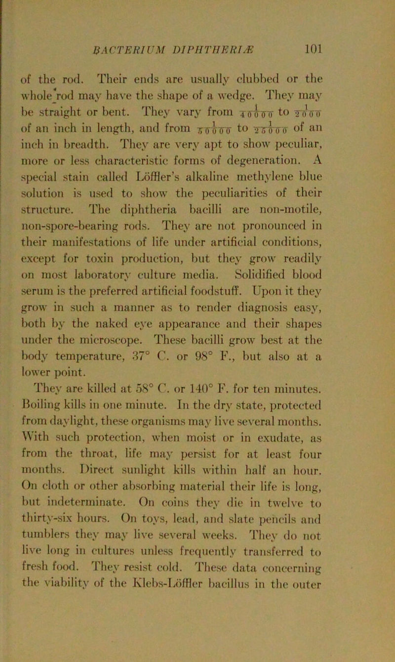 of the rod. Their ends are usually clubbed or the whole rod may have the shape of a wedge. They may be straight or bent. They vary from Troinr to toVtt of an inch in length, and from to tswiT of an inch in breadth. They are very apt to show peculiar, more or less characteristic forms of degeneration. A special stain called Loffler’s alkaline methylene blue solution is used to show the peculiarities of their structure. The diphtheria bacilli are non-motile, non-spore-bearing rods. They are not pronounced in their manifestations of life under artificial conditions, except for toxin production, but they grow readily on most laboratory culture media. Solidified blood serum is the preferred artificial foodstuff. Upon it they grow in such a manner as to render diagnosis easy, both by the naked eye appearance and their shapes under the microscope. These bacilli grow best at the body temperature, 37° C. or 98° F., but also at a lower point. They are killed at 58° C. or 140° F. for ten minutes. Boiling kills in one minute. In the dry state, protected from daylight, these organisms may live several months. With such protection, when moist or in exudate, as from the throat, life may persist for at least four months. Direct sunlight kills within half an hour. On cloth or other absorbing material their life is long, but indeterminate. On coins they die in twelve to thirty-six hours. On toys, lead, and slate pencils and tumblers they may live several weeks. They do not live long in cultures unless frequently transferred to fresh food. They resist cold. These data concerning the viability of the Klebs-Loffler bacillus in the outer