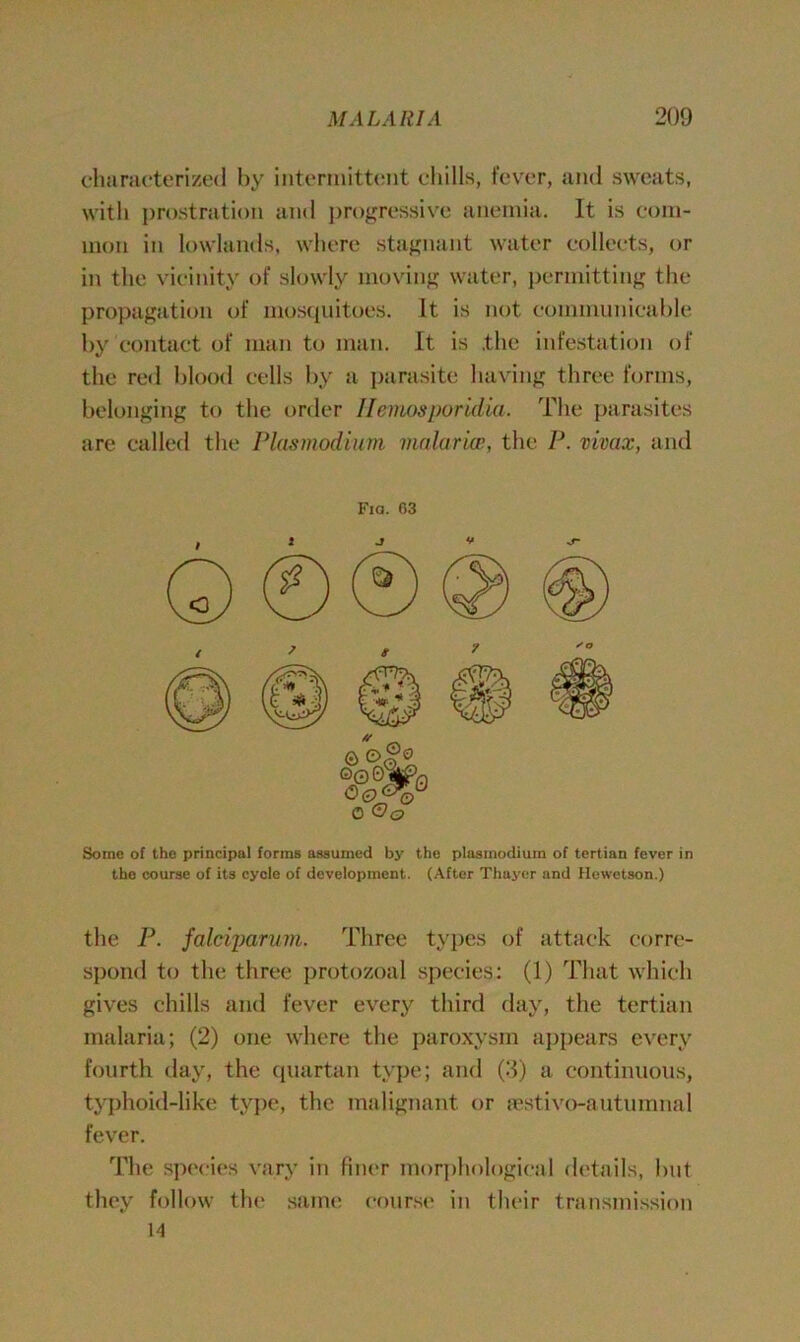 characterized by intermittent chills, fever, and sweats, with prostration and progressive anemia. It is com- mon in lowlands, where stagnant water collects, or in the vicinity of slowly moving water, permitting the propagation of mosquitoes. It is not communicable by contact of man to man. It is .the infestation of the red blood cells by a parasite having three forms, belonging to the order Hemosporidia. The parasites are called the Plasmodium malar ice, the P. vivax, and Fia. 03 Some of the principal forms assumed by the plastnodiuin of tertian fever in the course of its cycle of development. (After Thayer and Hewetson.) the P. falciparum. Three types of attack corre- spond to the three protozoal species: (1) That which gives chills and fever every third day, the tertian malaria; (2) one where the paroxysm appears every fourth clay, the quartan type; and (3) a continuous, typhoid-like type, the malignant or testivo-autumnal fever. The species vary in finer morphological details, but they follow the same course in their transmission 14