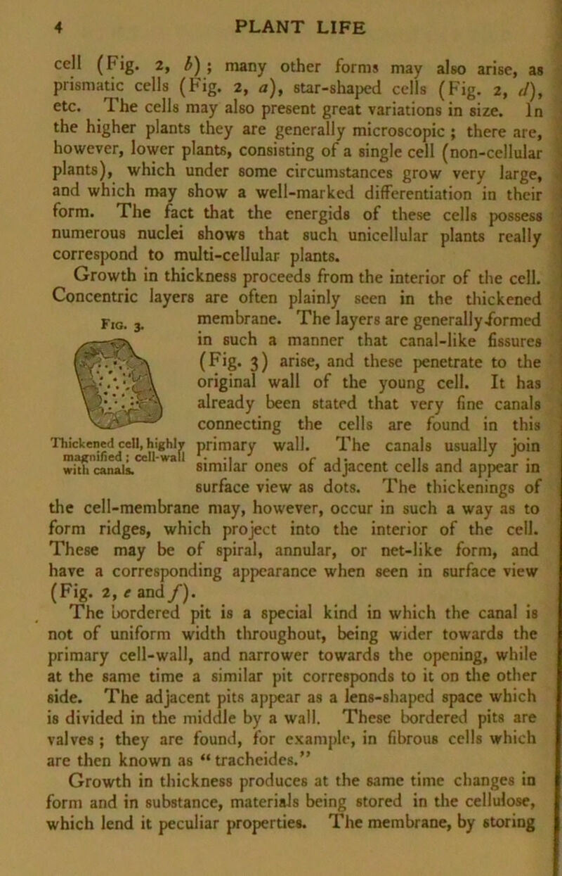 cell (Fig. 2, £) ; many other form* niay also arise, as prismatic cells (Fig. 2, a), star-shaped cclls (Fig. 2, ,!), etc. The cells may also present great variations in size. ln the higher plants they are generally microscopic ; there are, howcver, lower plants, consisting of a single cell (non-cellular plants), which under some circumstances grow very large, and which may show a well-marked differentiation in their form. The fact that the energids of these cells possess numerous nuclei shows that such unicellular plants really correspond to multi-cellular plants. Growth in thickness proceeds from the interior of the cell. Concentric layers are often plainly scen in the thickened Fig. 3. membrane. The layers are generally/ormed fv in such a manner that canal-like fissures (F'g- 3) arise, and these penetrate to the ,‘jH original wall of the young cell. It has 5‘A already been stated that very fine canals ‘connecting the cells are found in this Thickened cell, highly primary wall. The canals usually join ma^nified; cell-wall c A J J . with canals. similar ones of adjacent celis and appear in surface view as dots. The thickenings of the cell-membrane may, however, occur in such a way as to form ridges, which project into the interior of the cell. These may be of spiral, annular, or net-like form, and have a corresponding appcarance when seen in surface view (Fig. 2, e and f). The bordered pit is a special kind in which the canal is not of uniform width throughout, being wider towards the primary cell-wall, and narrower towards the opening, while at the same time a similar pit corresponds to it on the other side. The adjacent pits appear as a lens-shaped space which is divided in the middle by a wall. These bordered pits are valves ; they are found, for example, in fibrous cells which are then known as “ tracheides.” Growth in thickness produces at the same time changes in form and in substance, materials being stored in the cellulose, which lend it peculiar properties. The membrane, by 6toring