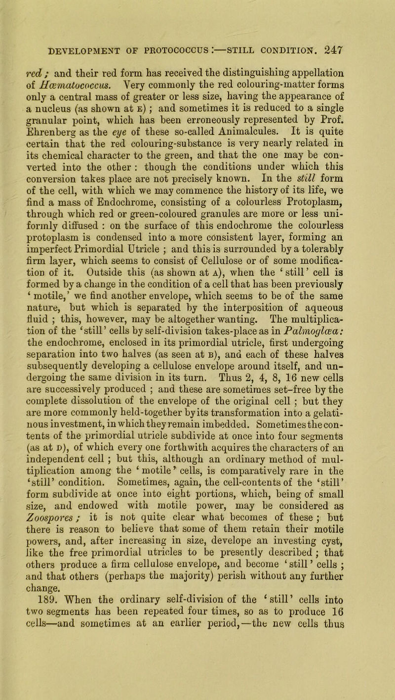 red ; and tlieir red form has received the distinguishing appellation of HcEinatococcm. Very commonly the red colouring-matter forms only a central mass of greater or less size, having the appearance of a nucleus (as shown at e) ; and sometimes it is reduced to a single granular point, which has been erroneously represented by Prof. Ehrenberg as the eye of these so-called Animalcules. It is quite certain that the red colouring-substance is very nearly related in its chemical character to the green, and that the one may be con- verted into the other : though the conditions under which this conversion takes place are not precisely known. In the still form of the cell, with which we may commence the history of its life, we find a mass of Endochrome, consisting of a colourless Protoplasm, through which red or green-coloured granules are more or less uni- formly diffused : on the surface of this endochrome the colourless protoplasm is condensed into a more consistent layer, forming an imperfect Primordial Utricle ; and this is surrounded by a tolerably firm layer, which seems to consist of Cellulose or of some modifica- tion of it. Outside this (as shown at a), when the ‘still’ cell is formed by a change in the condition of a cell that has been previously ‘ motile,’ we find another envelope, which seems to be of the same nature, but which is separated by the interposition of aqueous fluid ; this, however, may be altogether wanting. The multiplica- tion of the ‘still’ cells by self-division takes-place as in Palmoglcea: the endochrome, enclosed in its primordial utricle, first undergoing separation into two halves (as seen at b), and each of these halves subsequently developing a cellulose envelope around itself, and un- dergoing the same division in its turn. Thus 2, 4, 8, 16 new cells are successively produced ; and these are sometimes set-free by the complete dissolution of the envelope of the original cell ; but they are more commonly held-together by its transformation into a gelati- nous investment, in which they remain imbedded. Sometimes the con- tents of the primordial utricle subdivide at once into four segments (as at d), of which every one forthwith acquires the characters of an independent cell ; but this, although an ordinary method of mul- tiplication among the ‘ motile ’ cells, is comparatively rare in the ‘still’ condition. Sometimes, again, the cell-contents of the ‘still’ form subdivide at once into eight portions, which, being of small size, and endowed with motile power, may be considered as Zoospores; it is not quite clear what becomes of these ; but there is reason to believe that some of them retain their motile powers, and, after increasing in size, develope an investing cyst, like the free primordial utricles to be presently described ; that others produce a firm cellulose envelope, and become ‘still’ cells ; and that others (perhaps the majority) perish without any further change. 189. When the ordinary self-division of the ‘still’ cells into two segments has been repeated four times, so as to produce 16 cells—and sometimes at an earlier period,—the new cells thus