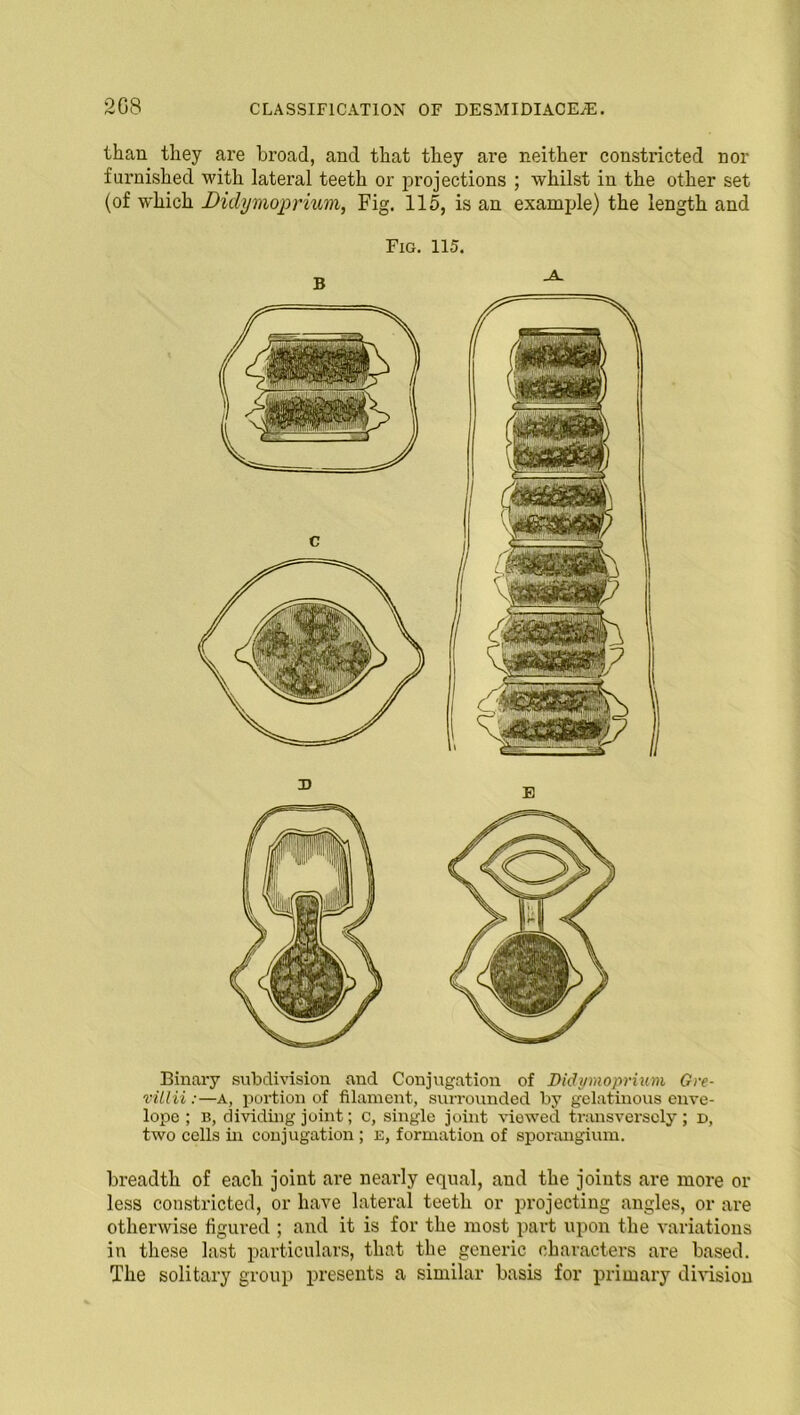 than they are broad, and that they are neither constricted nor furnished with lateral teeth or projections ; whilst in the other set (of which Didymoprium, Fig. 115, is an example) the length and Fig. 115. Binary subdivision and Conjugation of Didymoprium Gre- villii:—a, portion of filament, surrounded by gelatinous enve- lope ; b, dividing joint; c, single joint viewed transversely; d, two cells in conjugation ; e, formation of sporangium. breadth of each joint are nearly equal, and the joints are more or less constricted, or have lateral teeth or projecting angles, or are otherwise figured ; and it is for the most part upon the variations in these last particulars, that the generic characters are based. The solitary group presents a similar basis for primary division