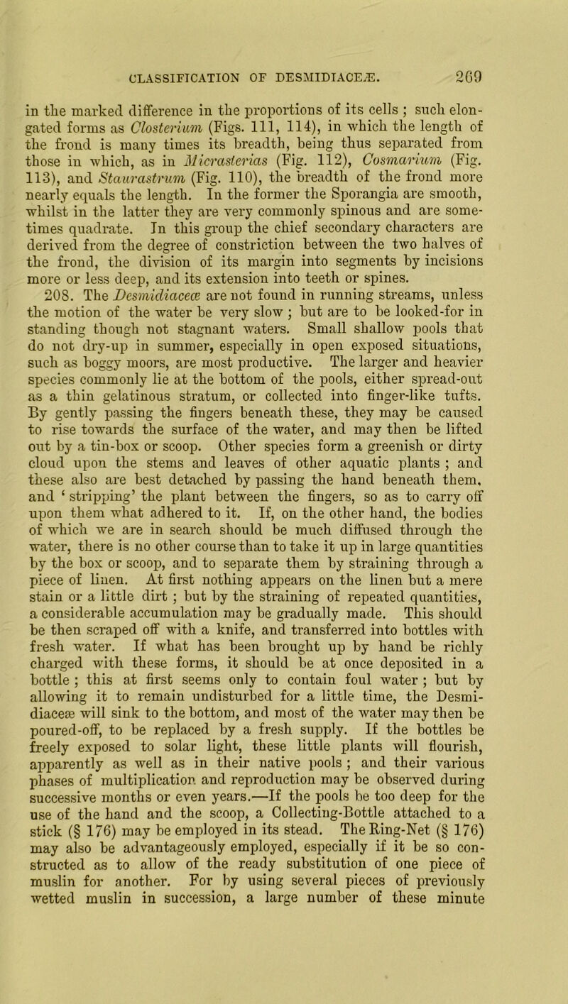 in the marked difference in the proportions of its cells ; such elon- gated forms as Closterium (Figs. Ill, 114), in which the length of the frond is many times its breadth, being thus separated from those in which, as in Micraslerias (Fig. 112), Cosmarmm (Fig. 113), and Staurastrum (Fig. 110), the breadth of the frond more nearly equals the length. In the former the Sporangia are smooth, whilst in the latter they are very commonly spinous and are some- times quadrate. In this group the chief secondary characters are derived from the degree of constriction between the two halves of the frond, the division of its margin into segments by incisions more or less deep, and its extension into teeth or spines. 208. The JDesmidiacece are not found in running streams, unless the motion of the water be very slow ; but are to be looked-for in standing though not stagnant waters. Small shallow pools that do not dry-up in summer, especially in open exposed situations, such as boggy moors, are most productive. The larger and heavier species commonly lie at the bottom of the pools, either spread-out as a thin gelatinous stratum, or collected into finger-like tufts. By gently passing the fingers beneath these, they may be caused to rise towards the surface of the water, and may then be lifted out by a tin-box or scoop. Other species form a greenish or dirty cloud upon the stems and leaves of other aquatic plants ; and these also are best detached by passing the hand beneath them, and ‘ stripping’ the plant between the fingers, so as to carry off upon them what adhered to it. If, on the other hand, the bodies of which we are in search should be much diffused through the water, there is no other course than to take it up in large quantities by the box or scoop, and to separate them by straining through a piece of linen. At first nothing appears on the linen but a mere stain or a little dirt ; but by the straining of repeated quantities, a considerable accumulation may be gradually made. This should be then scraped off with a knife, and transferred into bottles with fresh water. If what has been brought up by hand be richly charged with these forms, it should be at once deposited in a bottle ; this at first seems only to contain foul water ; but by allowing it to remain undisturbed for a little time, the Desmi- diaceae will sink to the bottom, and most of the water may then be poured-off, to be replaced by a fresh supply. If the bottles be freely exposed to solar light, these little plants will flourish, apparently as well as in their native pools ; and their various phases of multiplication and reproduction may be observed during successive months or even years.—If the pools be too deep for the use of the hand and the scoop, a Collecting-Bottle attached to a stick (§ 176) may be employed in its stead. The Ring-Net (§ 176) may also be advantageously employed, especially if it be so con- structed as to allow of the ready substitution of one piece of muslin for another. For by using several pieces of previously wetted muslin in succession, a large number of these minute