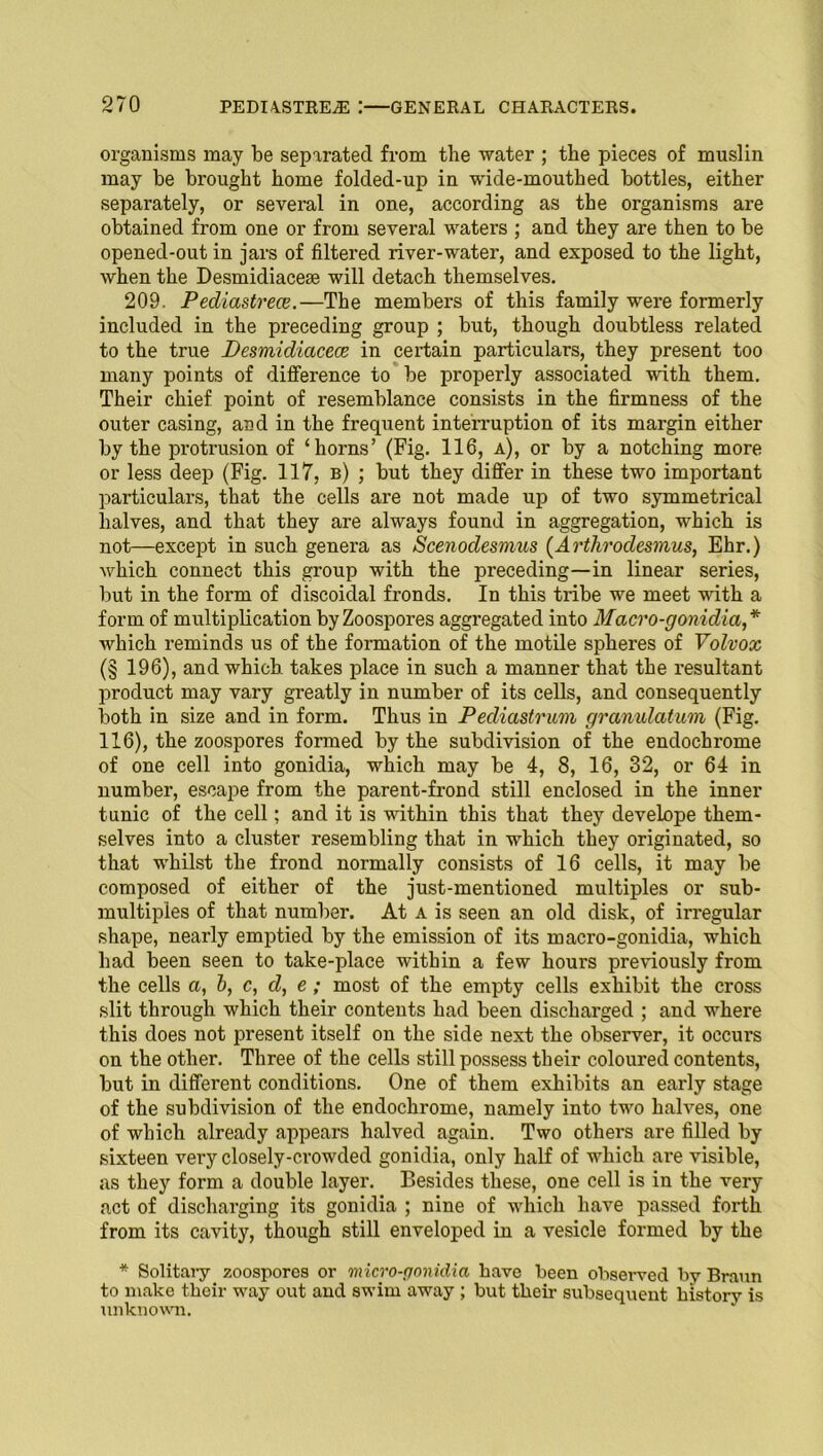 organisms may be separated from the water ; the pieces of muslin may be brought home folded-up in wide-mouthed bottles, either separately, or several in one, according as the organisms are obtained from one or from several waters ; and they are then to be opened-out in jars of filtered river-water, and exposed to the light, when the Desmidiacese will detach themselves. 209. Pediastrece.—The members of this family were formerly included in the preceding group ; but, though doubtless related to the true Desmidiacece in certain particulars, they present too many points of difference to be properly associated with them. Their chief point of resemblance consists in the firmness of the outer casing, and in the frequent interruption of its margin either by the protrusion of ‘horns’ (Fig. 116, a), or by a notching more or less deep (Fig. 117, b) ; but they differ in these two important particulars, that the cells are not made up of two symmetrical halves, and that they are always found in aggregation, which is not—except in such genera as Scenodesmus (Arthrodesmus, Ehr.) which connect this group with the preceding—in linear series, but in the form of discoidal fronds. In this tribe we meet with a form of multiplication by Zoospores aggregated into Macro-gonidia,* which reminds us of the formation of the motile spheres of Volvox (§ 196), and which takes place in such a manner that the resultant product may vary greatly in number of its cells, and consequently both in size and in form. Thus in Pediastrum granulcitum (Fig. 116), the zoospores formed by the subdivision of the endochrome of one cell into gonidia, which may be 4, 8, 16, 32, or 64 in number, escape from the parent-frond still enclosed in the inner tunic of the cell; and it is within this that they develope them- selves into a cluster resembling that in which they originated, so that whilst the frond normally consists of 16 cells, it may be composed of either of the just-mentioned multiples or sub- multiples of that number. At a is seen an old disk, of irregular shape, nearly emptied by the emission of its macro-gonidia, which had been seen to take-place within a few hours previously from the cells a, b, c, d, e ; most of the empty cells exhibit the cross slit through which their contents had been discharged ; and where this does not present itself on the side next the observer, it occui's on the other. Three of the cells still possess their coloured contents, but in different conditions. One of them exhibits an early stage of the subdivision of the endochrome, namely into two halves, one of which already appears halved again. Two others are filled by sixteen very closely-crowded gonidia, only half of which are visible, as they form a double layer. Besides these, one cell is in the very act of discharging its gonidia ; nine of which have passed forth from its cavity, though still enveloped in a vesicle formed by the * Solitary zoospores or micro-gonidia have been observed by Braun to make their way out and swim away ; but their subsequent history is unknown.